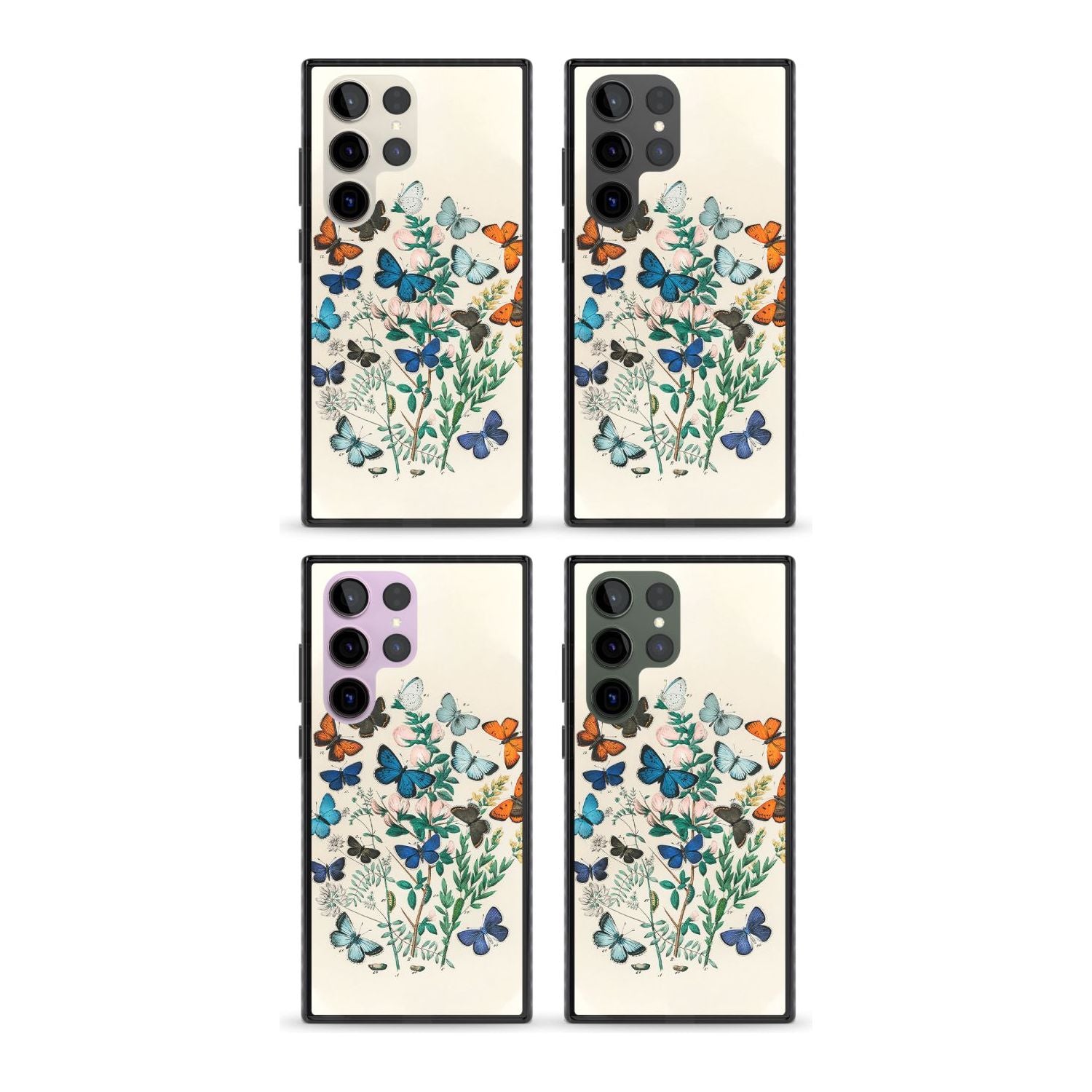 European Butterflies Phone Case iPhone 15 Pro Max / Black Impact Case,iPhone 15 Plus / Black Impact Case,iPhone 15 Pro / Black Impact Case,iPhone 15 / Black Impact Case,iPhone 15 Pro Max / Impact Case,iPhone 15 Plus / Impact Case,iPhone 15 Pro / Impact Case,iPhone 15 / Impact Case,iPhone 15 Pro Max / Magsafe Black Impact Case,iPhone 15 Plus / Magsafe Black Impact Case,iPhone 15 Pro / Magsafe Black Impact Case,iPhone 15 / Magsafe Black Impact Case,iPhone 14 Pro Max / Black Impact Case,iPhone 14 Plus / Black