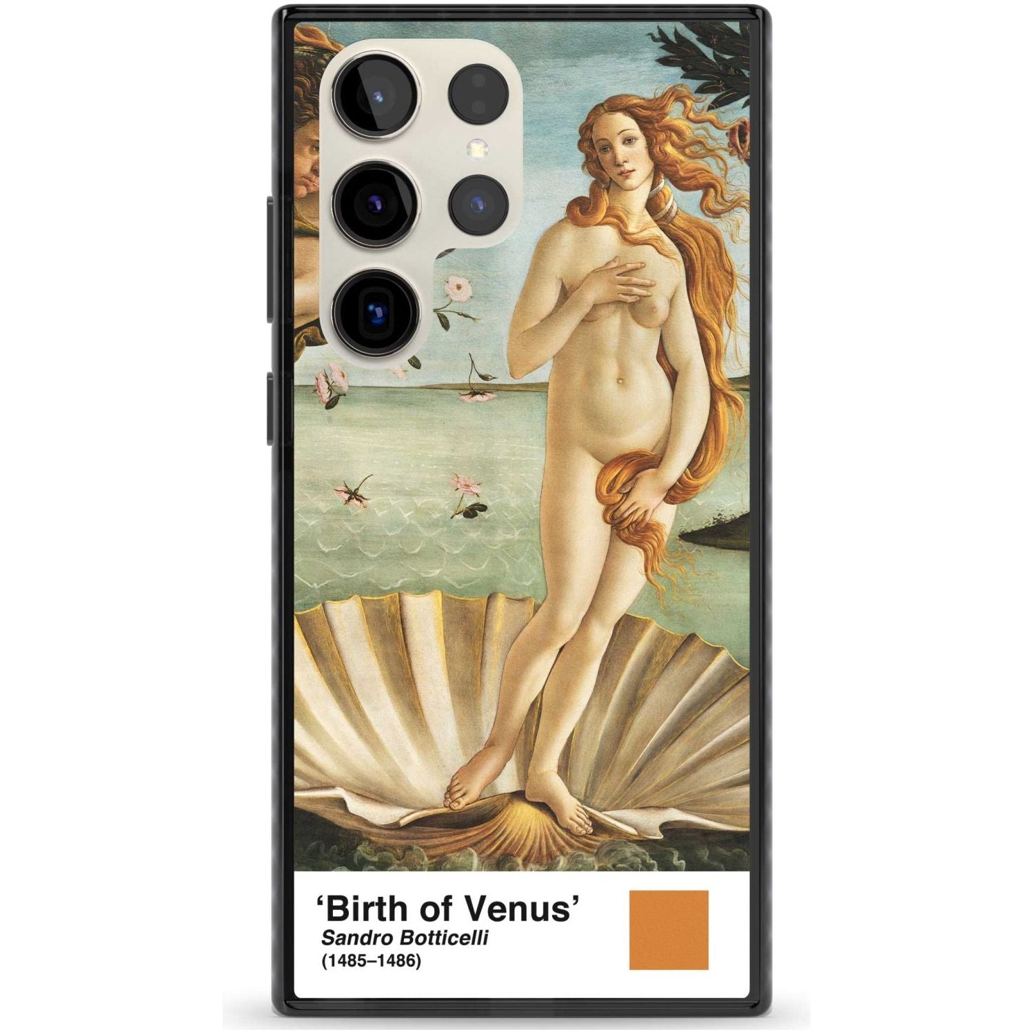The Birth Of Venus
