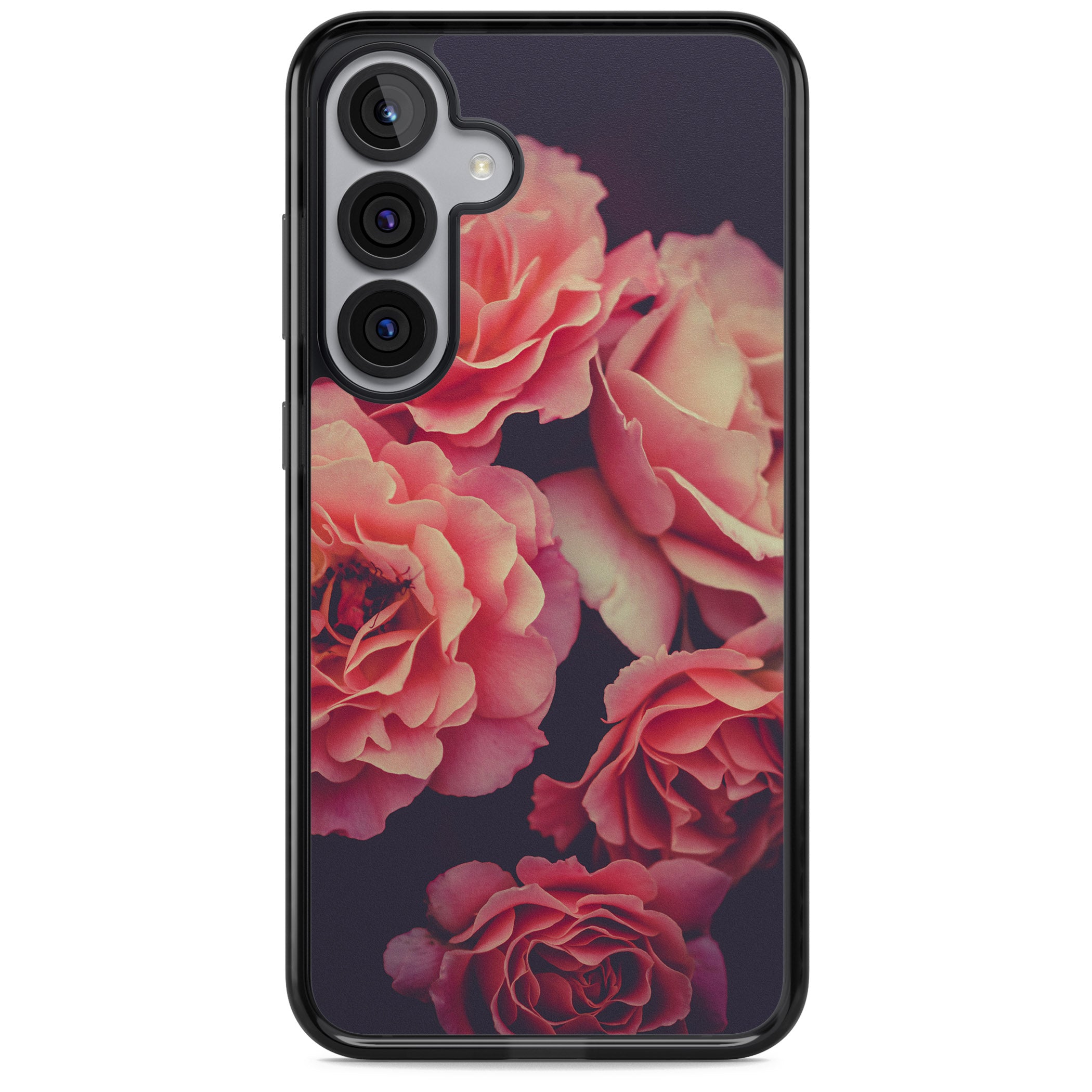 Midnight Rose Bloom