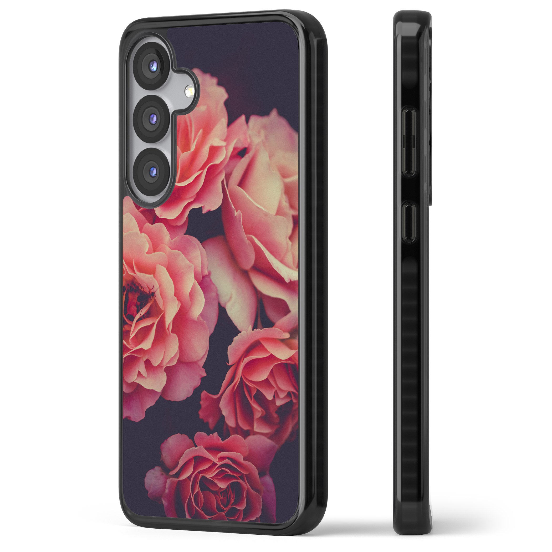 Midnight Rose Bloom