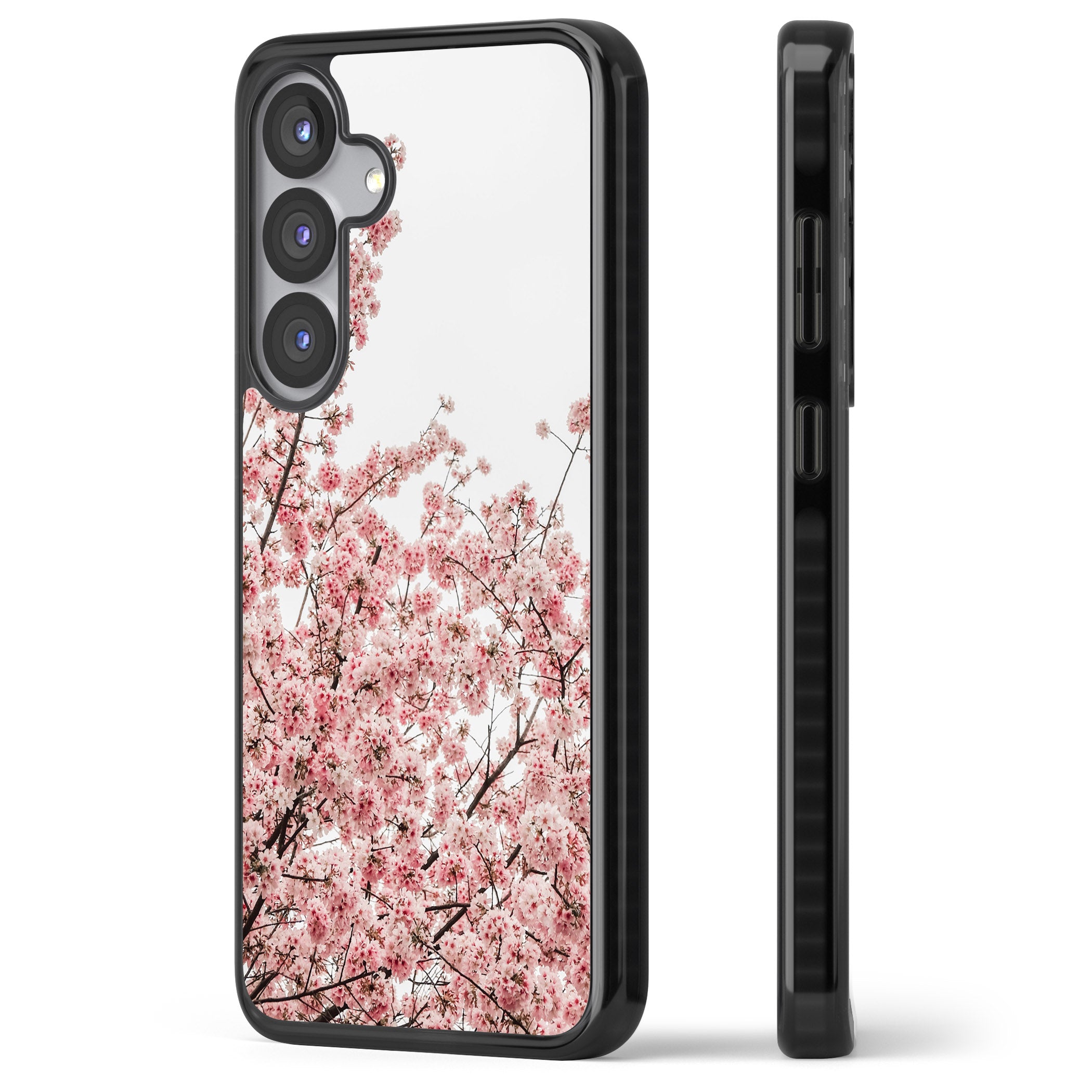 Cherry Blossom Bloom
