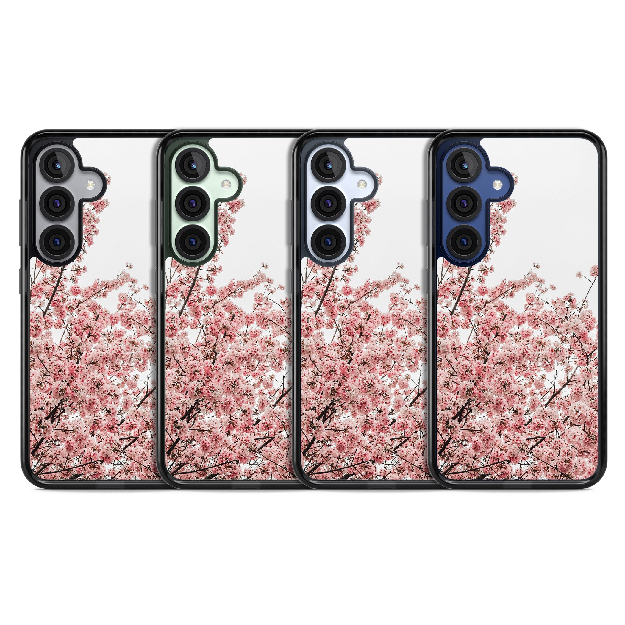 Cherry Blossom Bloom