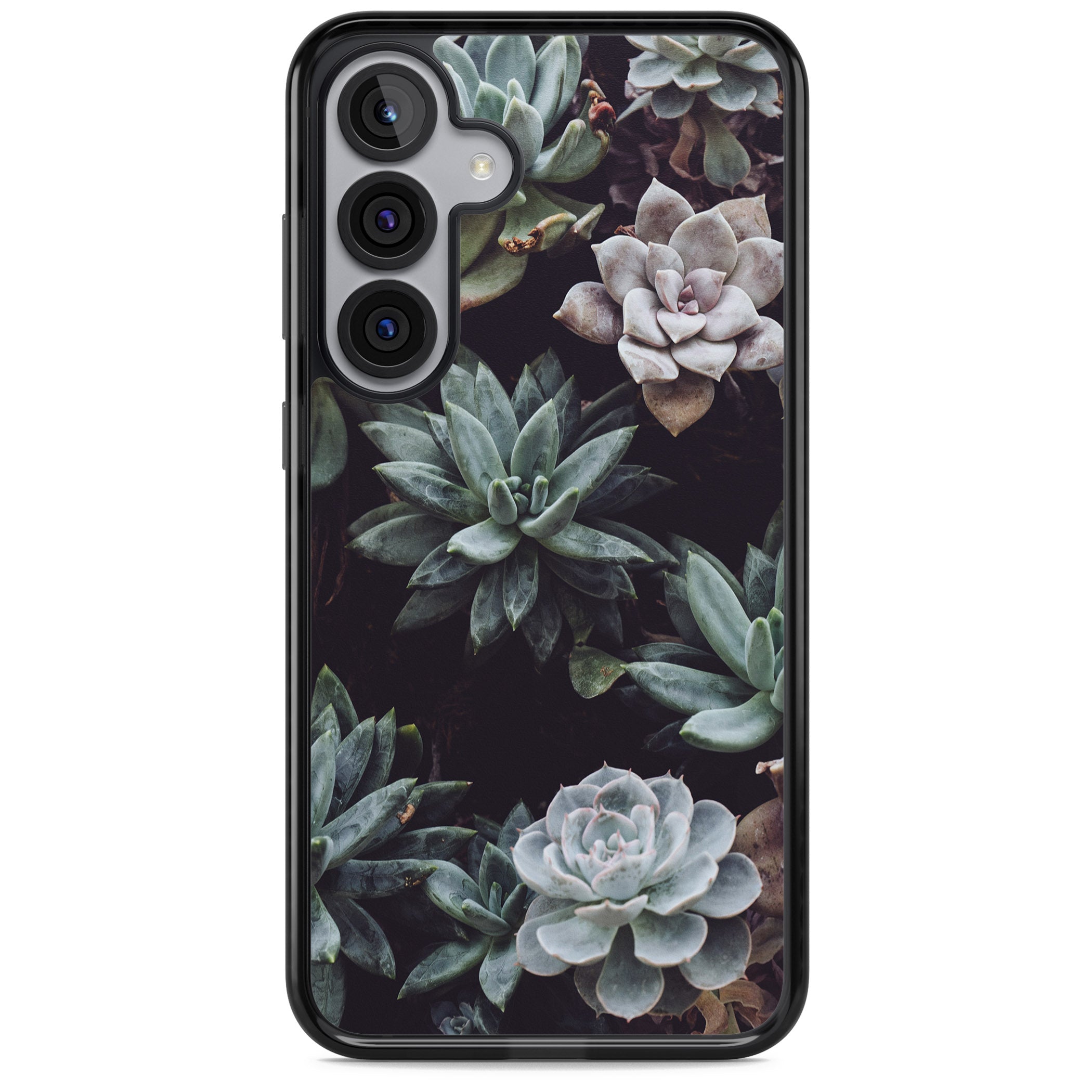 Succulent Bloom Mixed