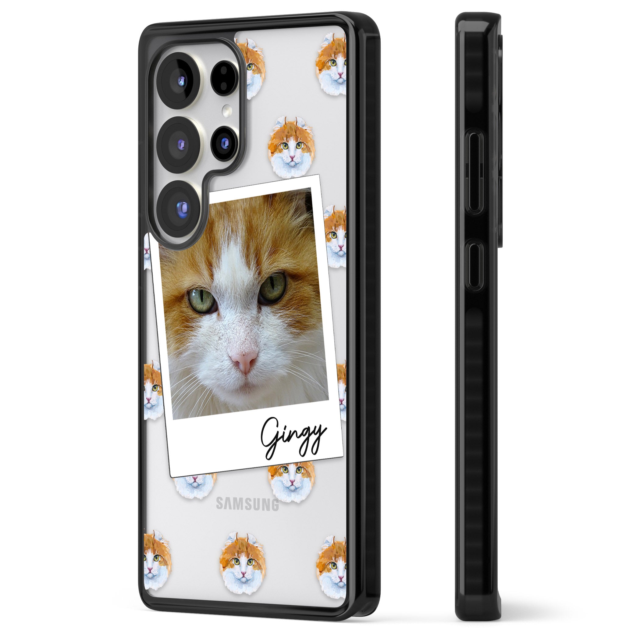 Personalised American Curl Photo