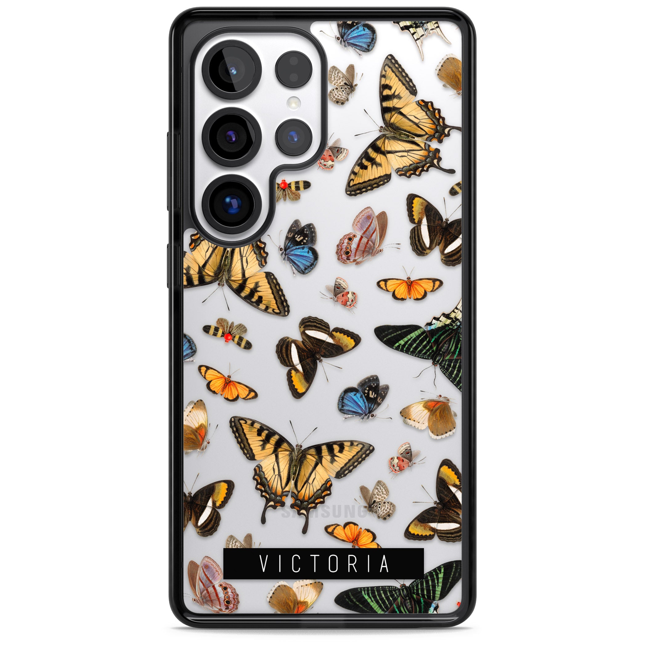 Personalised Butterfly Archive