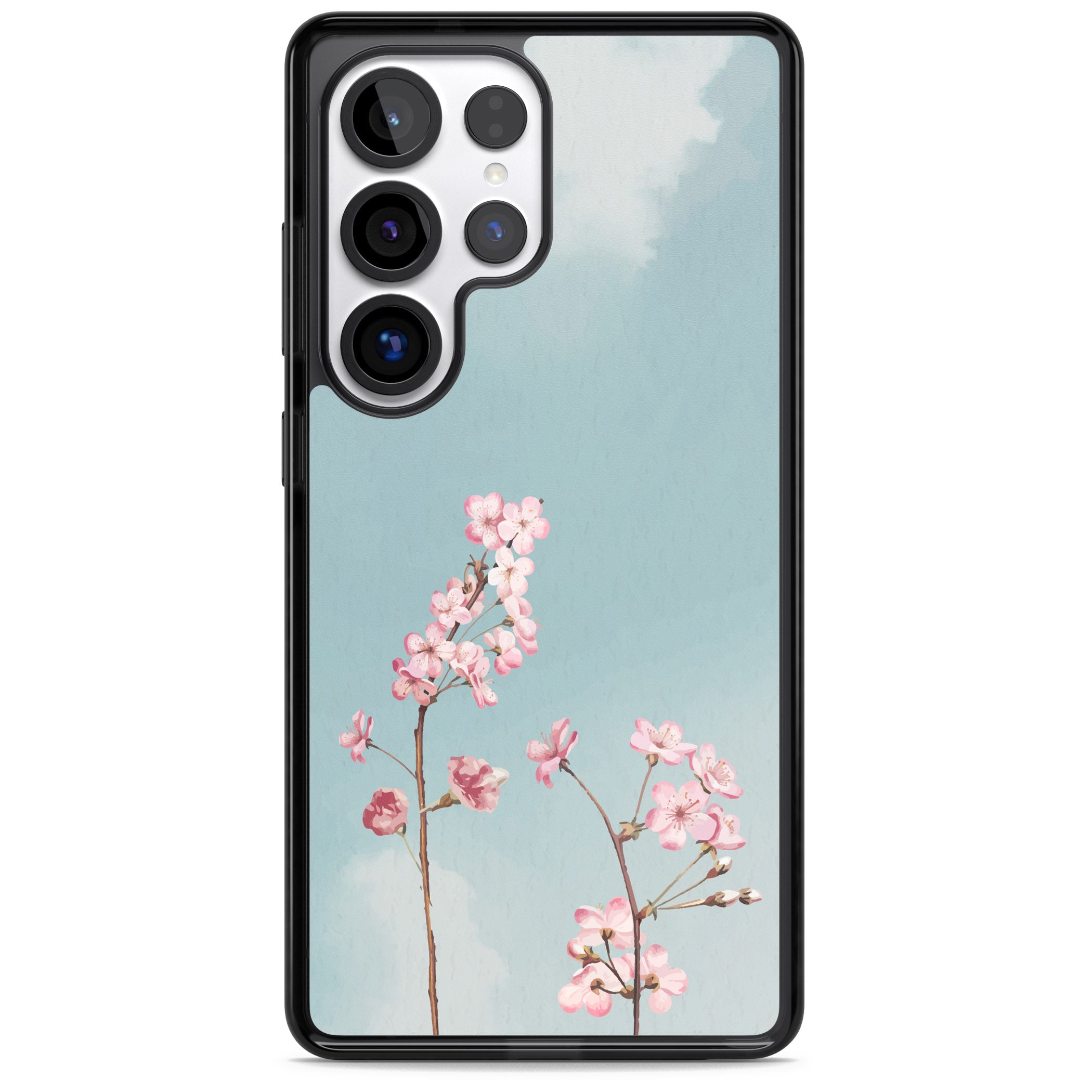 Blossom Flower Sky