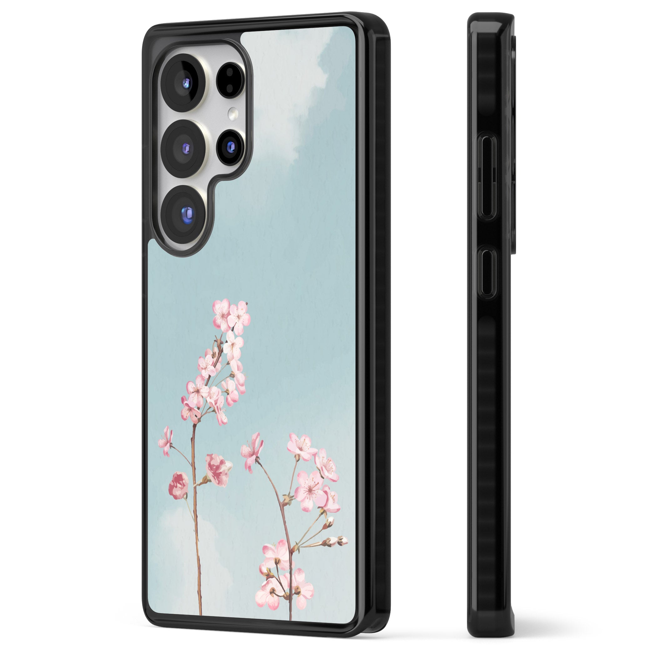 Blossom Flower Sky