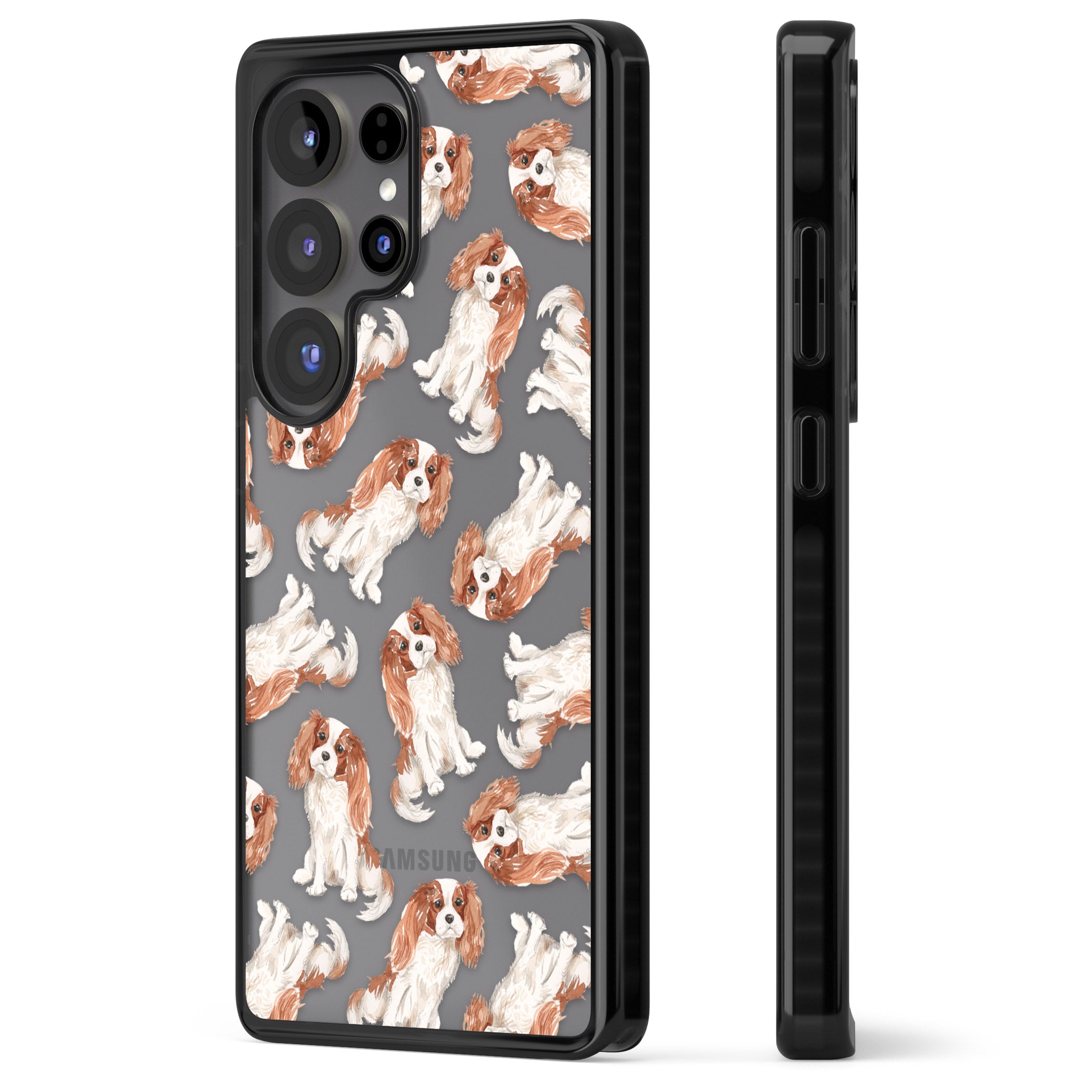 Cavalier King Charles Spaniel