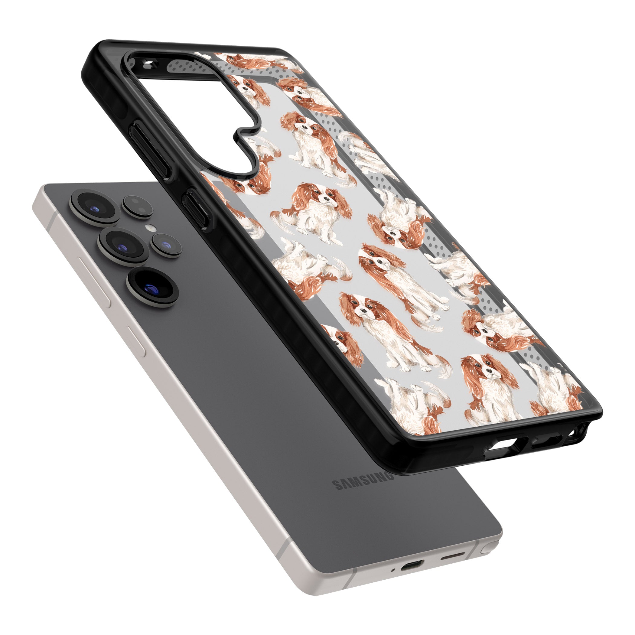 Cavalier King Charles Spaniel