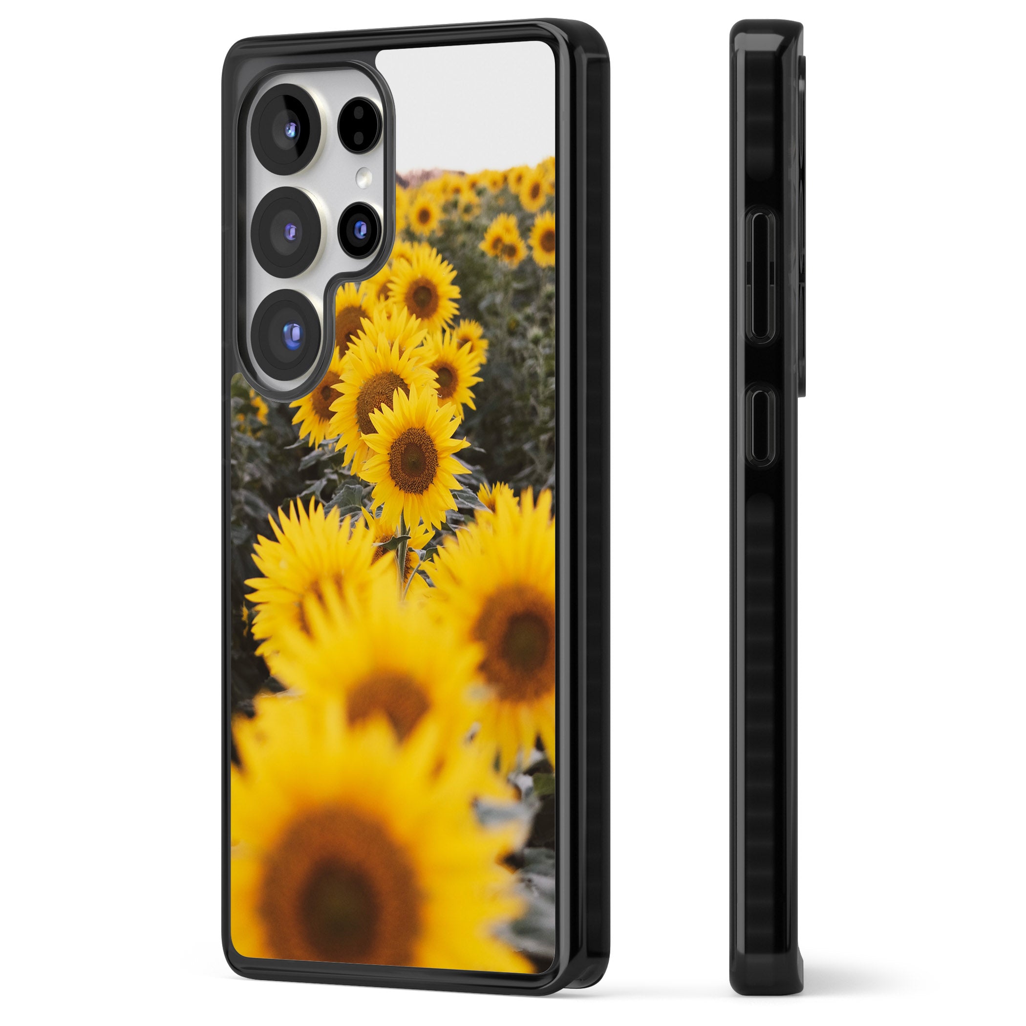 Sunflower Field