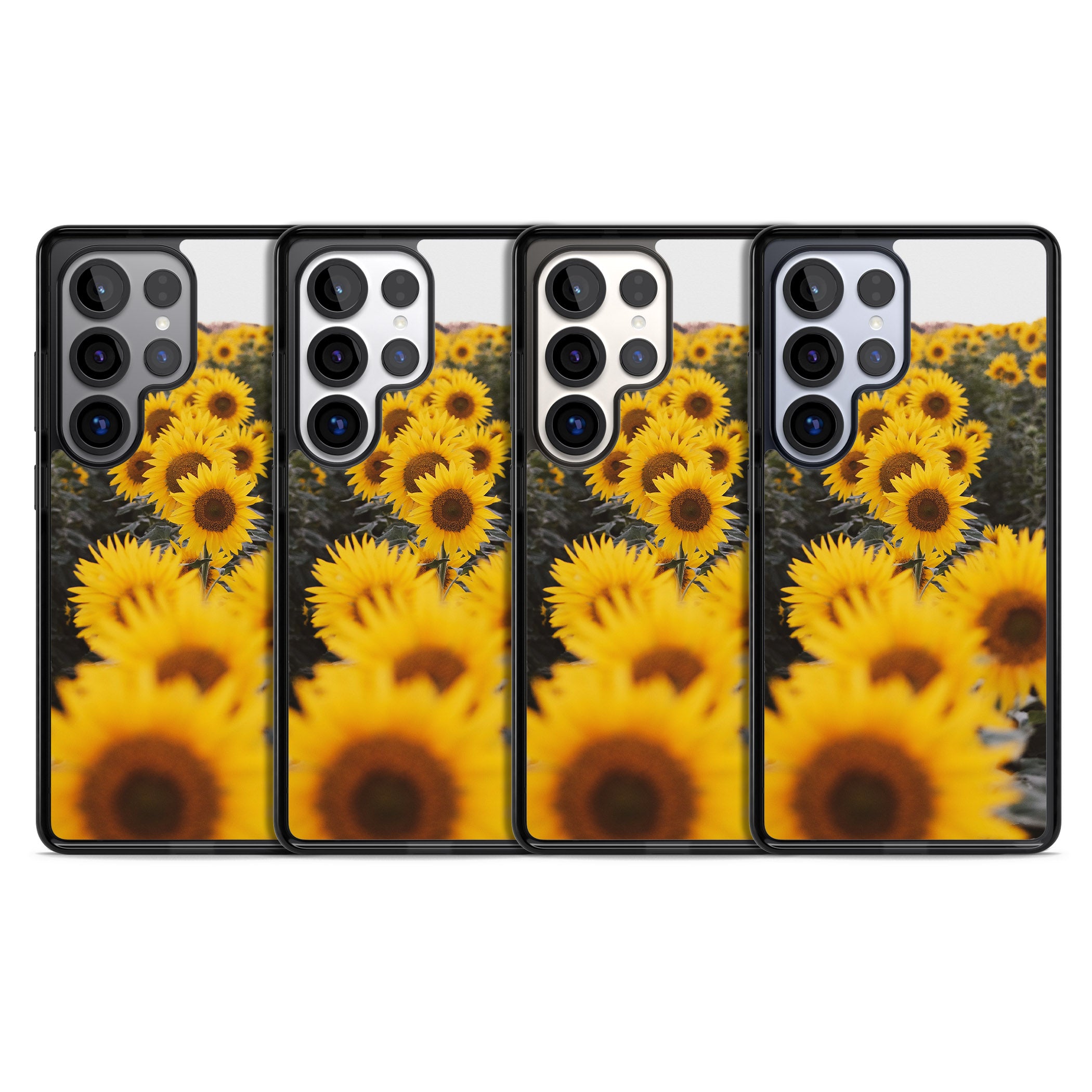 Sunflower Field