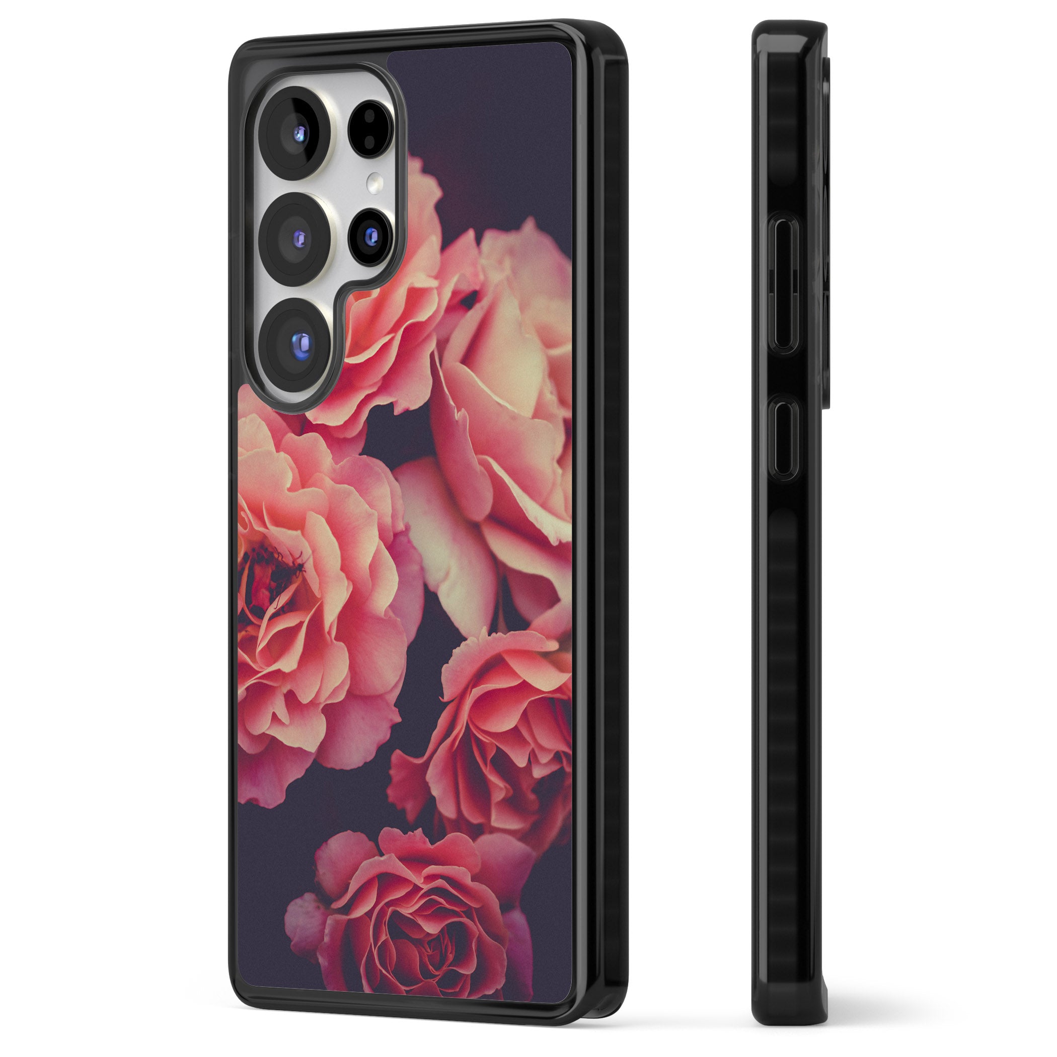 Midnight Rose Bloom