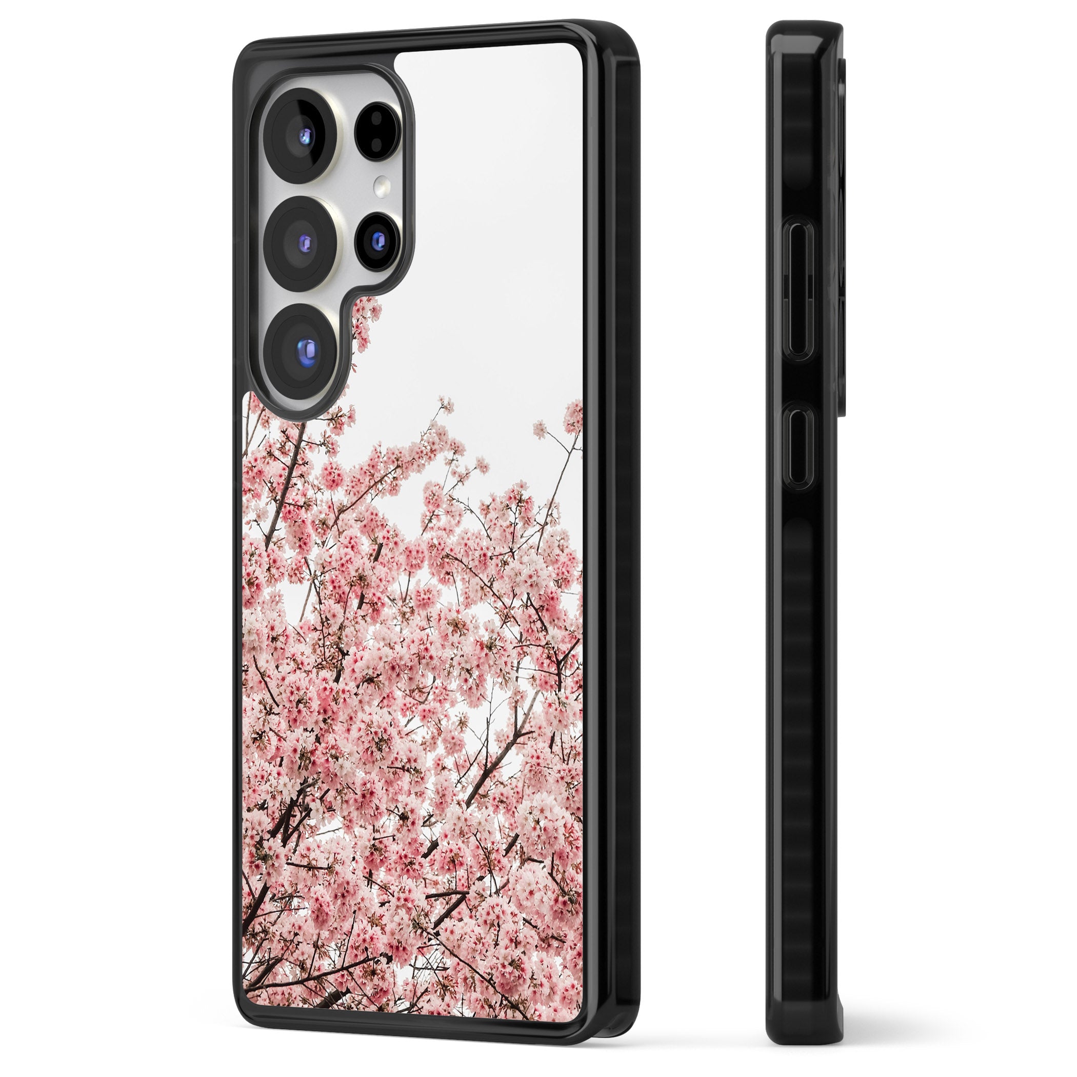 Cherry Blossom Bloom