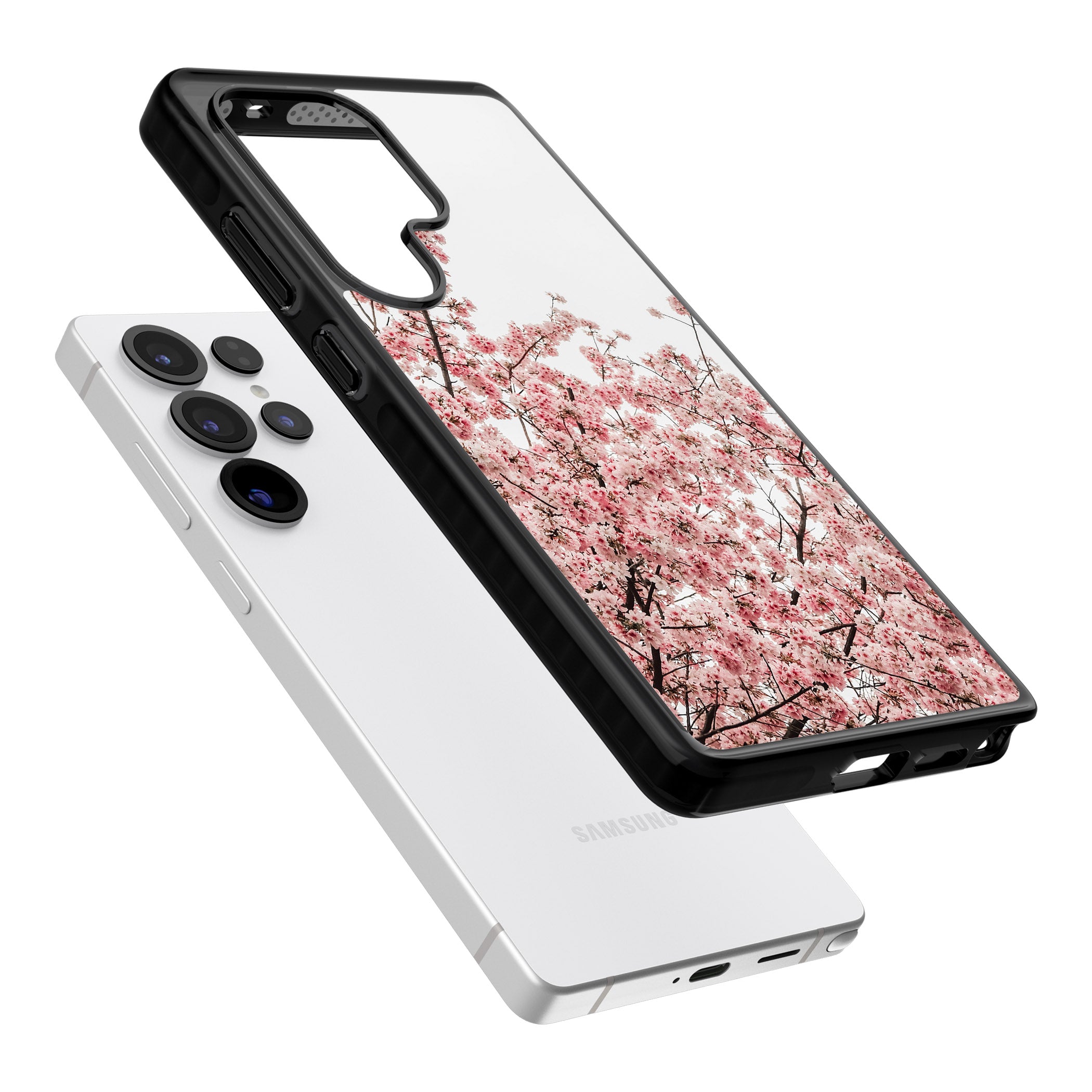 Cherry Blossom Bloom