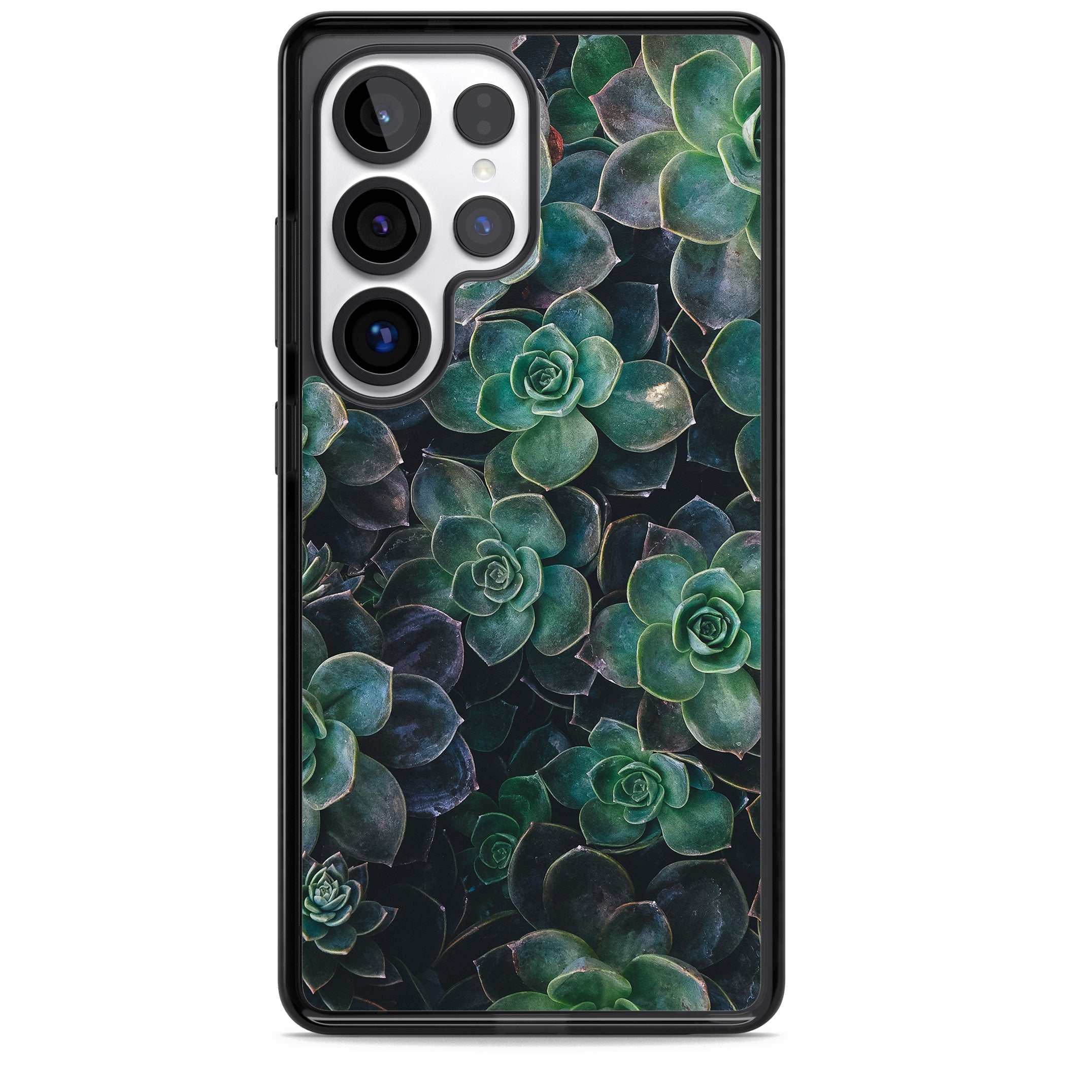 Succulent Bloom Botanical