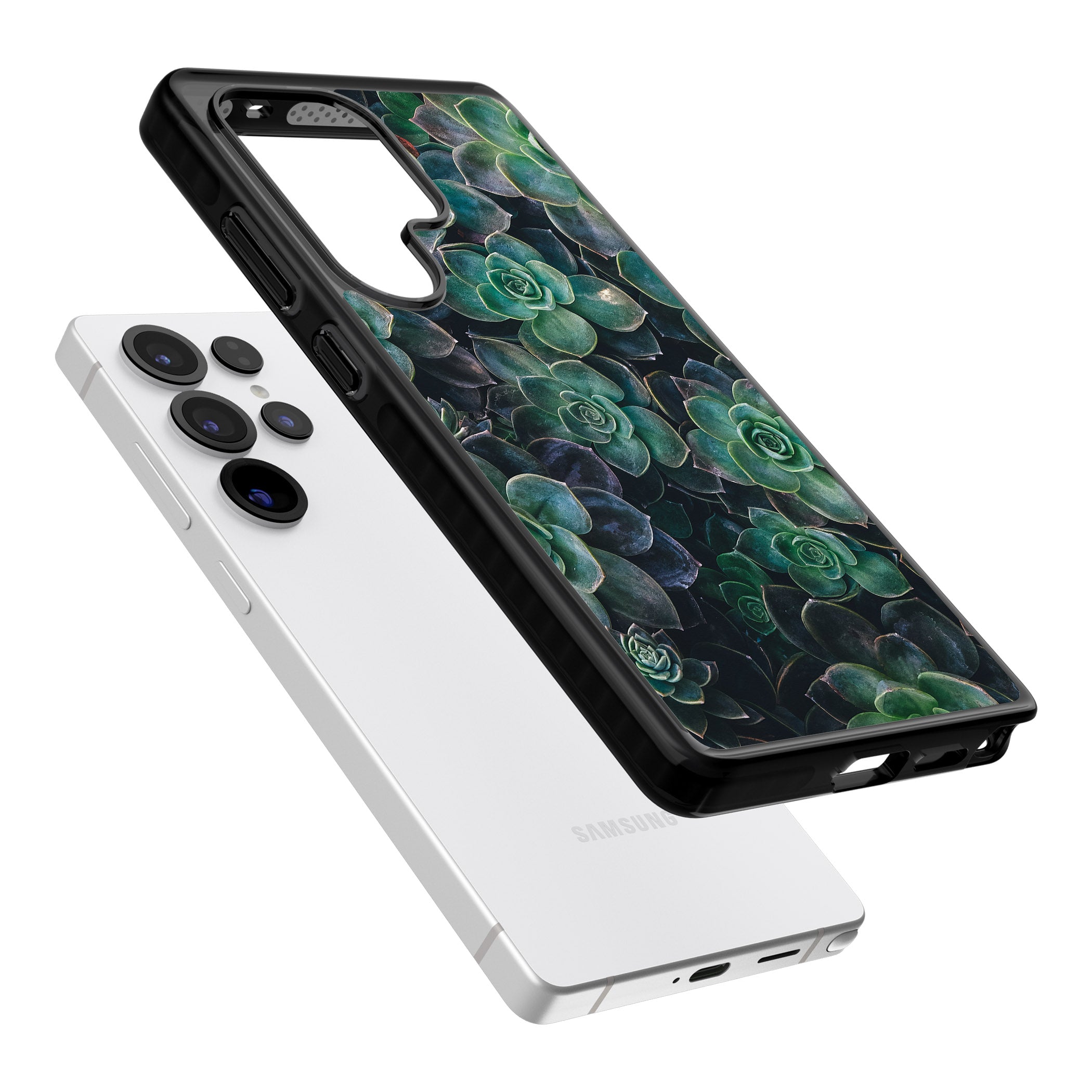 Succulent Bloom Botanical