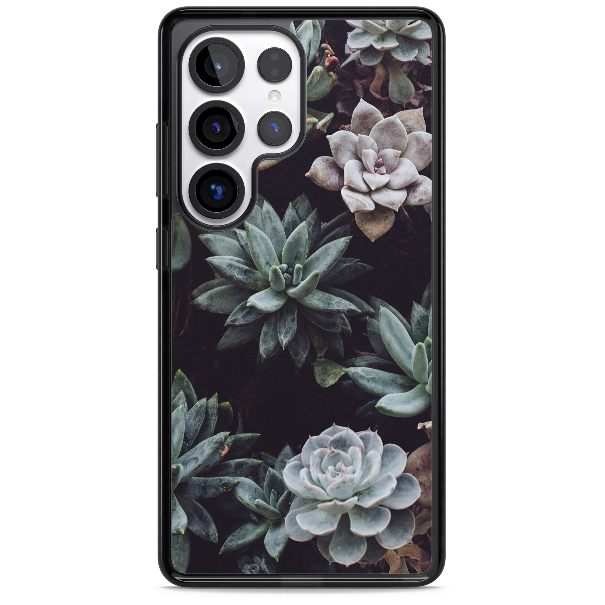 Succulent Bloom Mixed