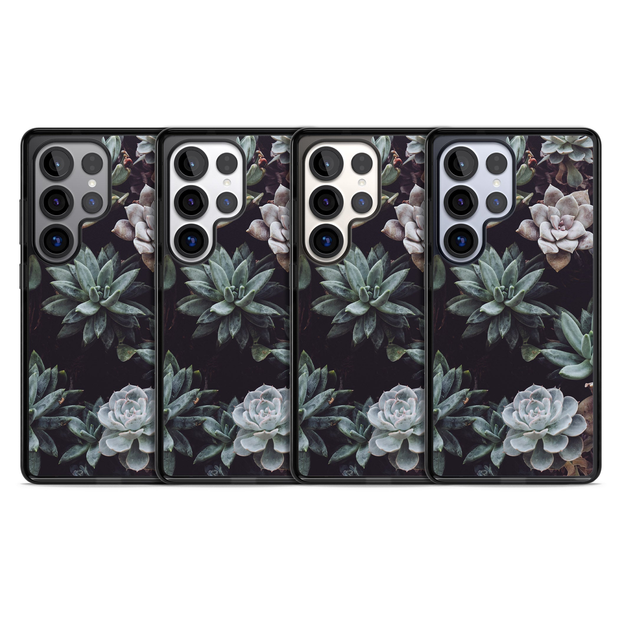 Succulent Bloom Mixed