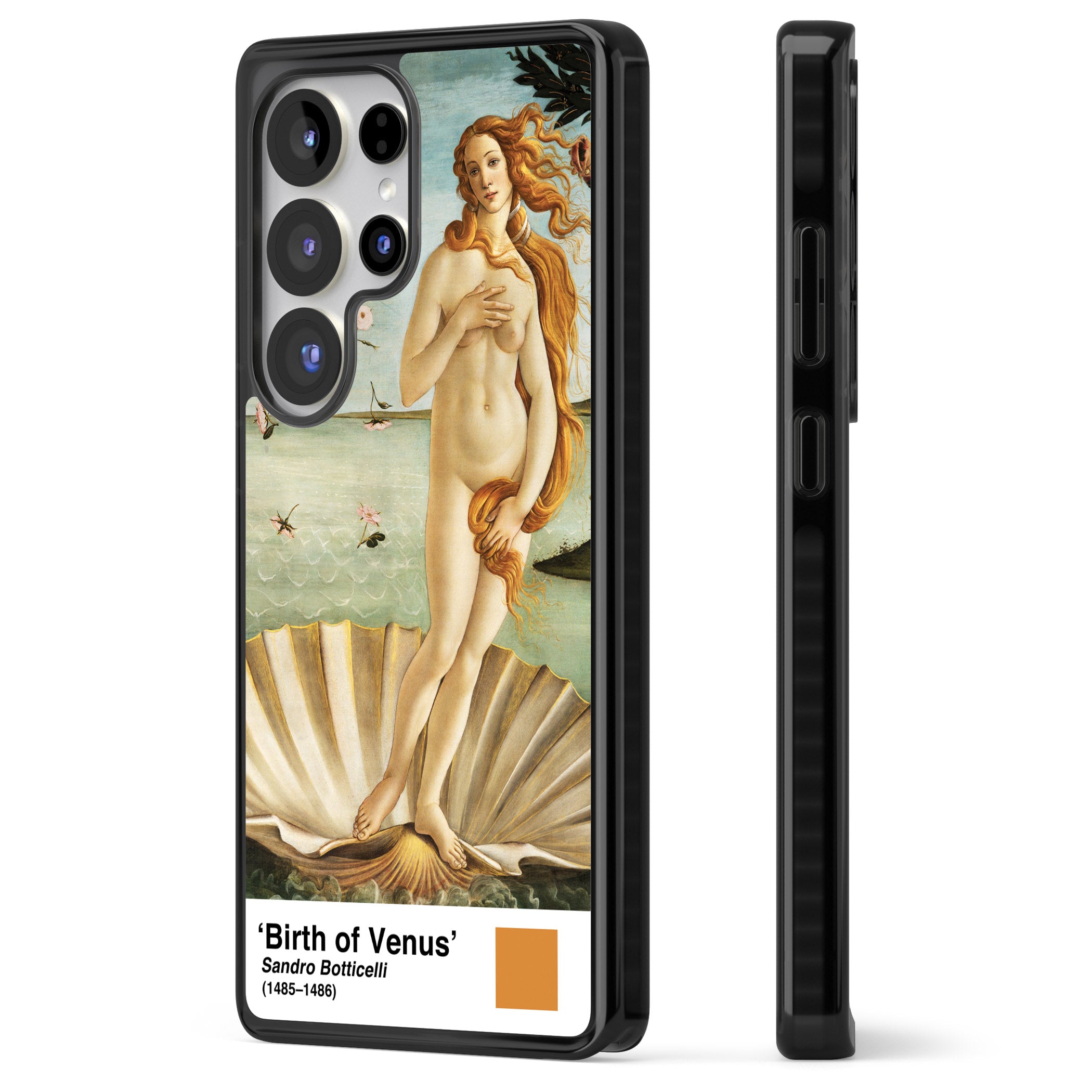 The Birth Of Venus