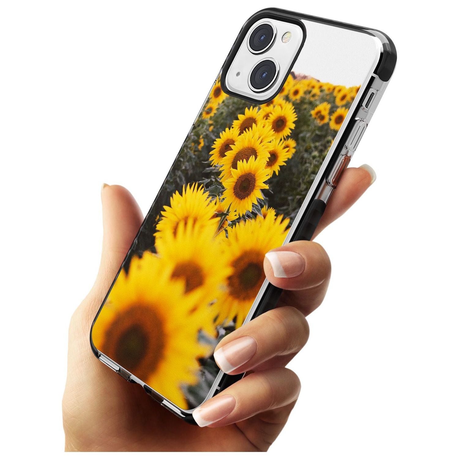 Sunflower Field