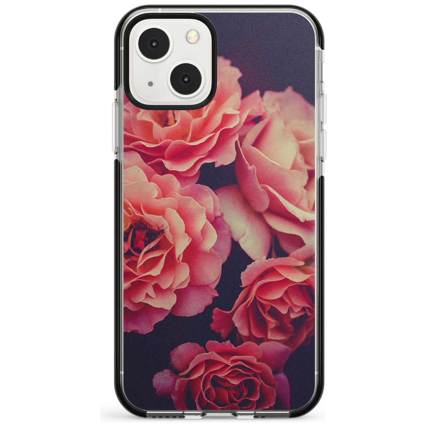 Midnight Rose Bloom