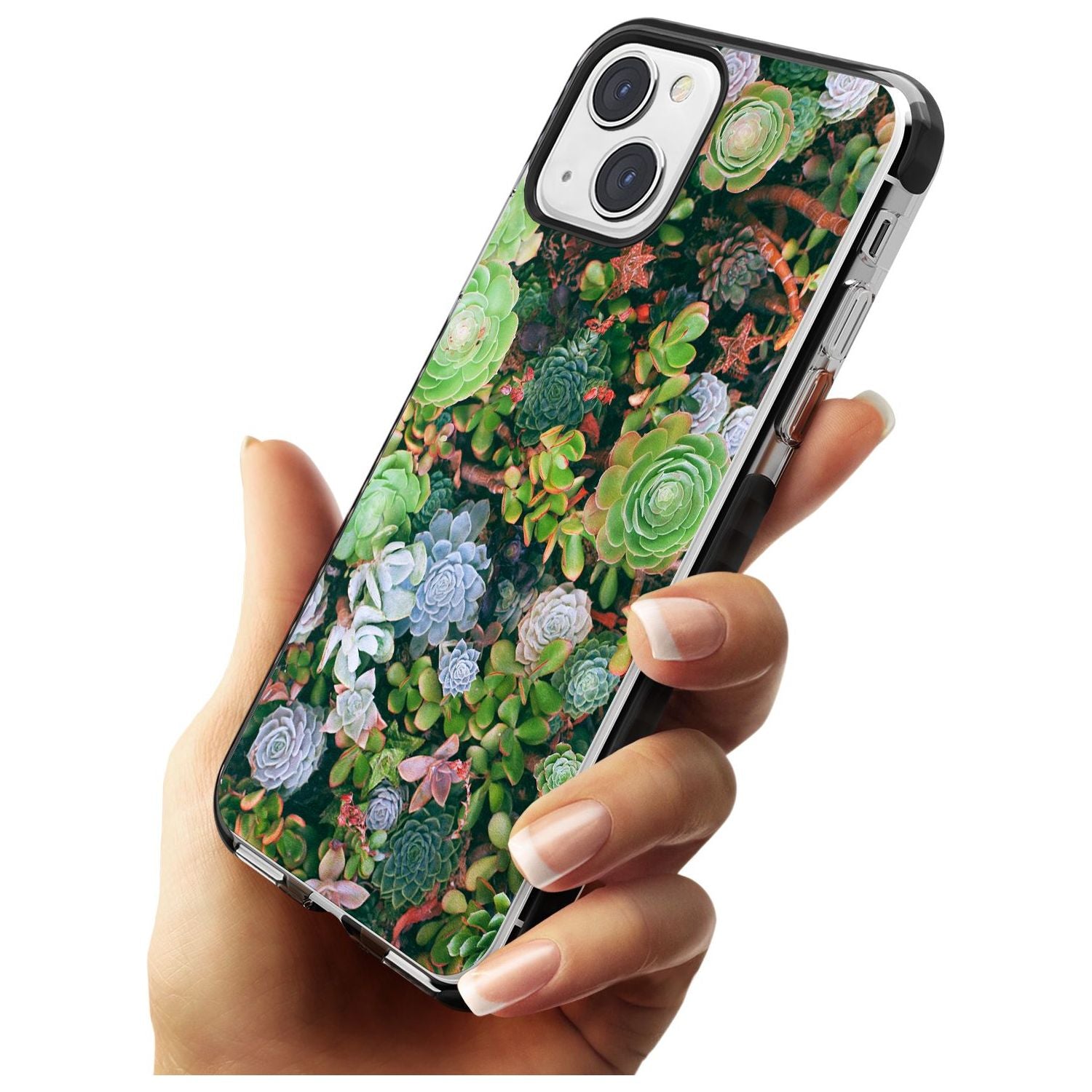 Colourful Succulents Phone Case iPhone 15 Pro Max / Black Impact Case,iPhone 15 Plus / Black Impact Case,iPhone 15 Pro / Black Impact Case,iPhone 15 / Black Impact Case,iPhone 15 Pro Max / Impact Case,iPhone 15 Plus / Impact Case,iPhone 15 Pro / Impact Case,iPhone 15 / Impact Case,iPhone 15 Pro Max / Magsafe Black Impact Case,iPhone 15 Plus / Magsafe Black Impact Case,iPhone 15 Pro / Magsafe Black Impact Case,iPhone 15 / Magsafe Black Impact Case,iPhone 14 Pro Max / Black Impact Case,iPhone 14 Plus / Black