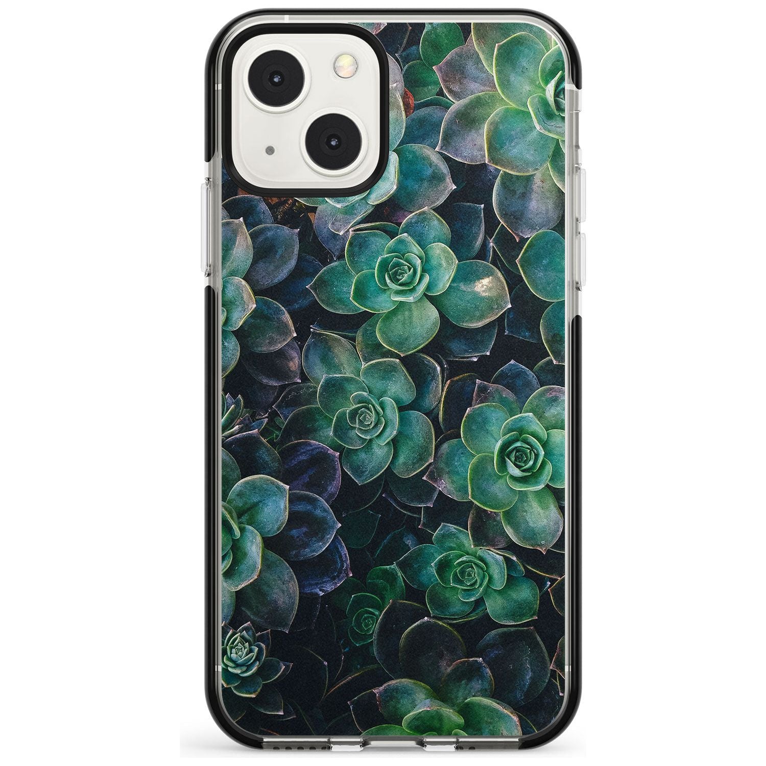 Succulent Bloom Botanical