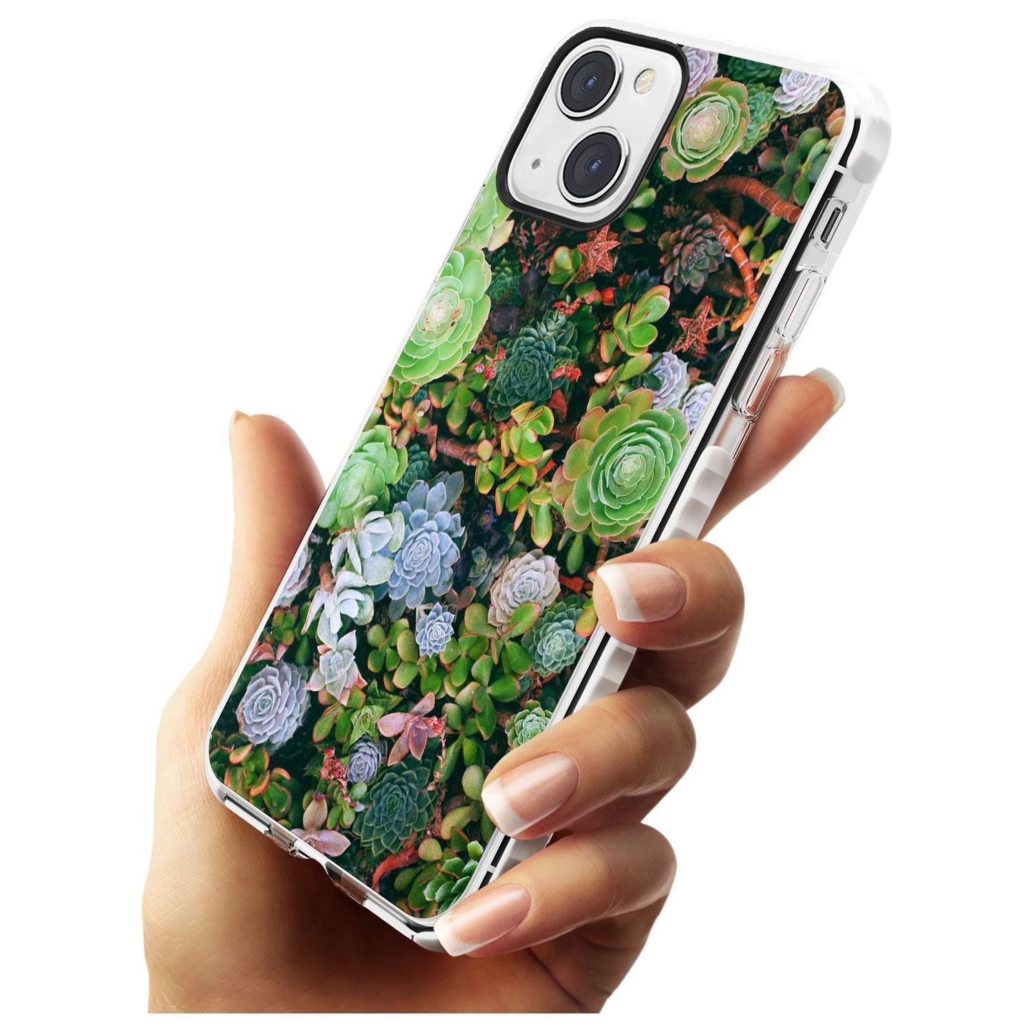 Colourful Succulents Phone Case iPhone 15 Pro Max / Black Impact Case,iPhone 15 Plus / Black Impact Case,iPhone 15 Pro / Black Impact Case,iPhone 15 / Black Impact Case,iPhone 15 Pro Max / Impact Case,iPhone 15 Plus / Impact Case,iPhone 15 Pro / Impact Case,iPhone 15 / Impact Case,iPhone 15 Pro Max / Magsafe Black Impact Case,iPhone 15 Plus / Magsafe Black Impact Case,iPhone 15 Pro / Magsafe Black Impact Case,iPhone 15 / Magsafe Black Impact Case,iPhone 14 Pro Max / Black Impact Case,iPhone 14 Plus / Black