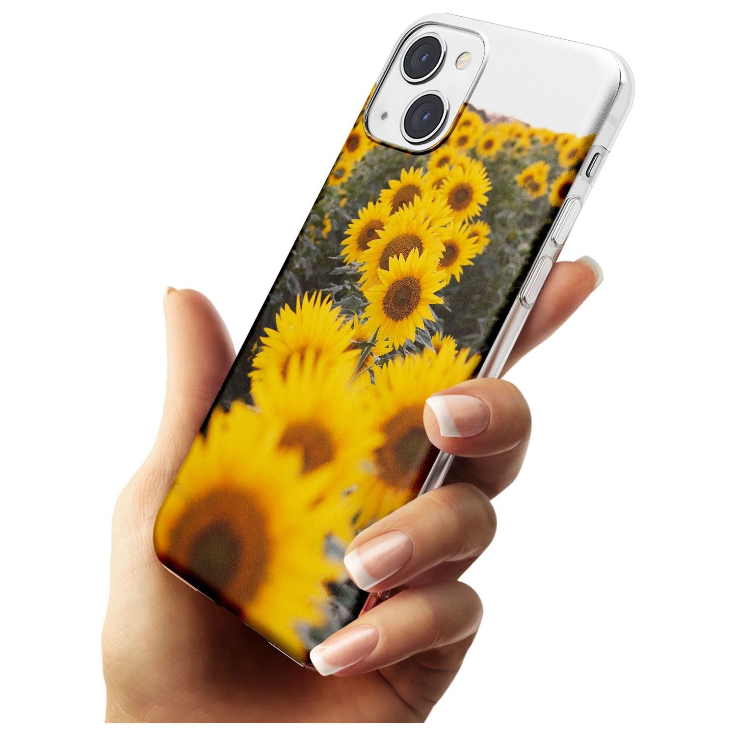 Sunflower Field
