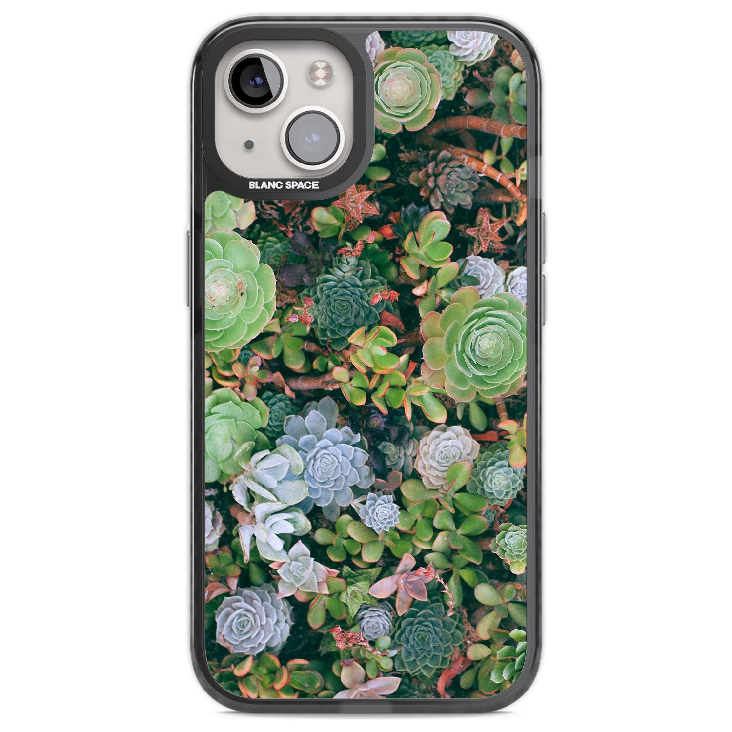 Colourful Succulents Phone Case iPhone 12 / Black Impact Case,iPhone 13 / Black Impact Case,iPhone 12 Pro / Black Impact Case,iPhone 14 / Black Impact Case,iPhone 15 Plus / Black Impact Case,iPhone 15 / Black Impact Case Blanc Space