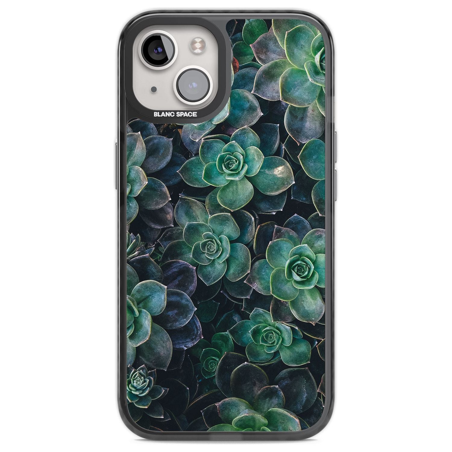 Succulent Bloom Botanical