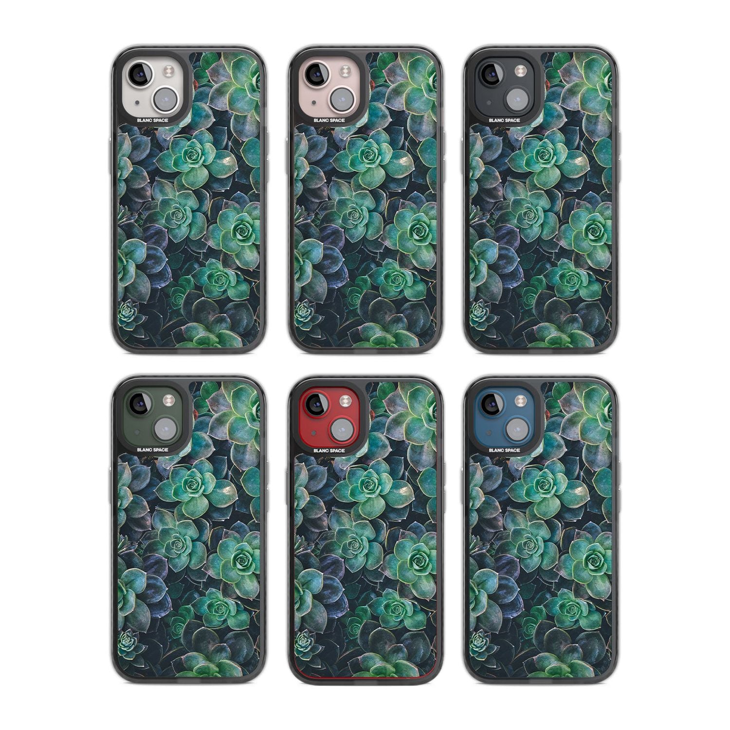 Succulent Bloom Botanical