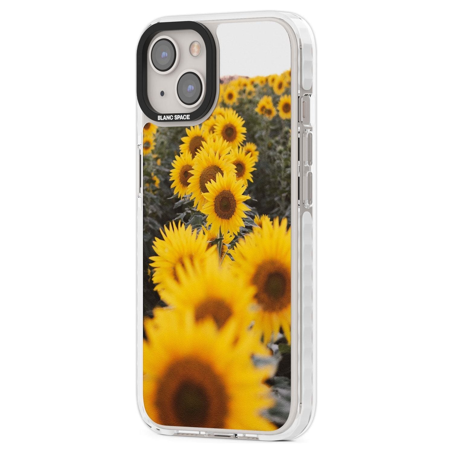 Sunflower Field