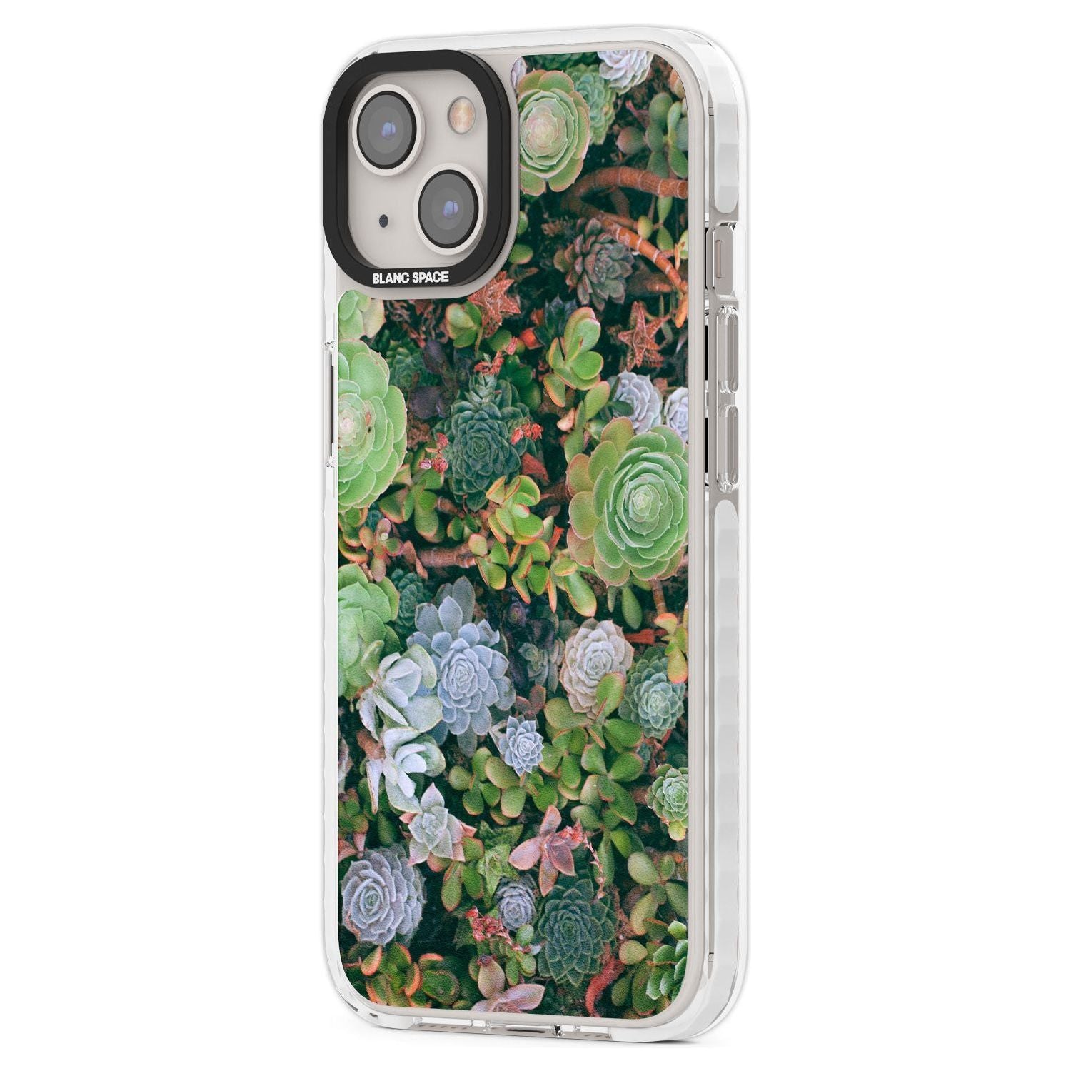 Colourful Succulents Phone Case iPhone 15 Pro Max / Black Impact Case,iPhone 15 Plus / Black Impact Case,iPhone 15 Pro / Black Impact Case,iPhone 15 / Black Impact Case,iPhone 15 Pro Max / Impact Case,iPhone 15 Plus / Impact Case,iPhone 15 Pro / Impact Case,iPhone 15 / Impact Case,iPhone 15 Pro Max / Magsafe Black Impact Case,iPhone 15 Plus / Magsafe Black Impact Case,iPhone 15 Pro / Magsafe Black Impact Case,iPhone 15 / Magsafe Black Impact Case,iPhone 14 Pro Max / Black Impact Case,iPhone 14 Plus / Black