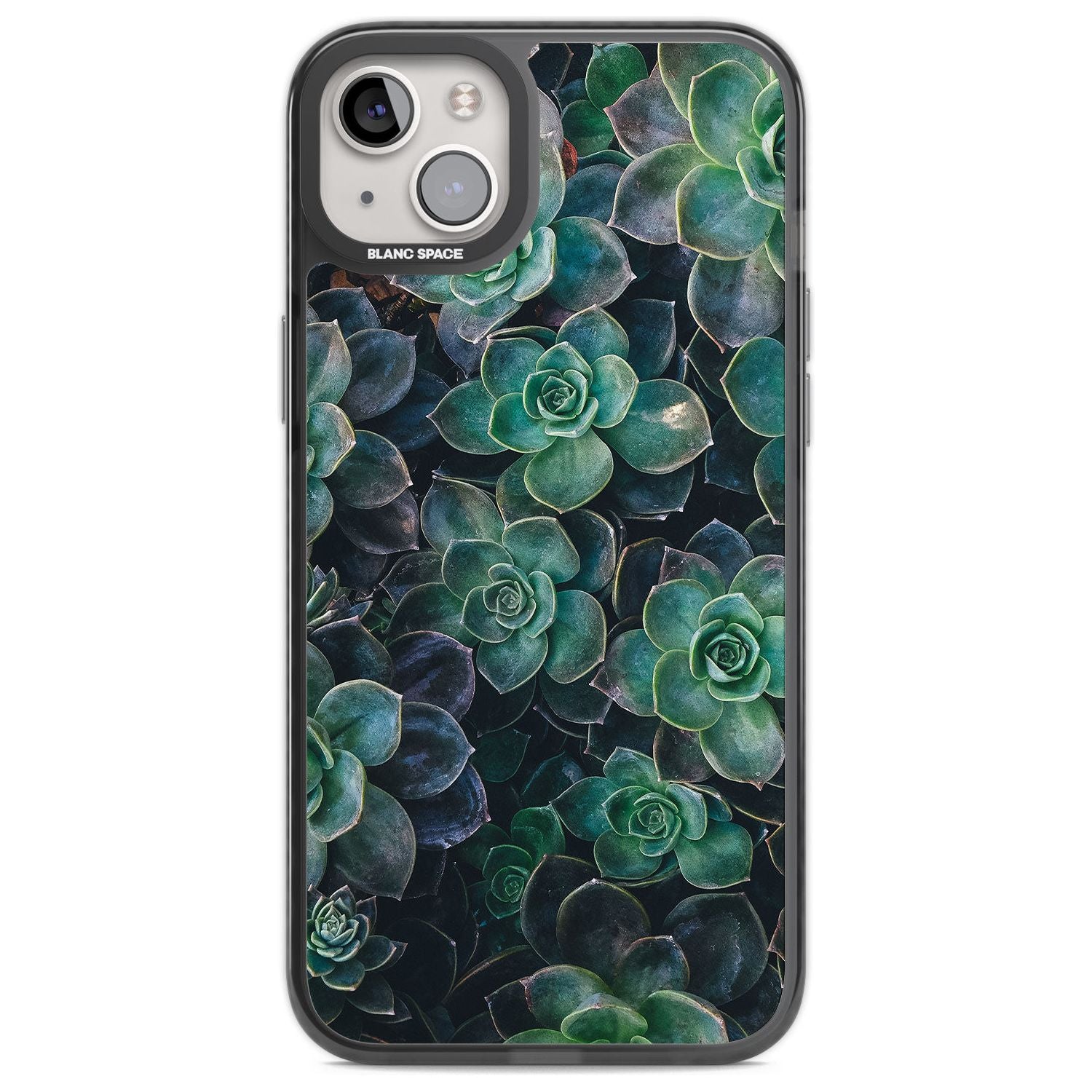 Succulent Bloom Botanical