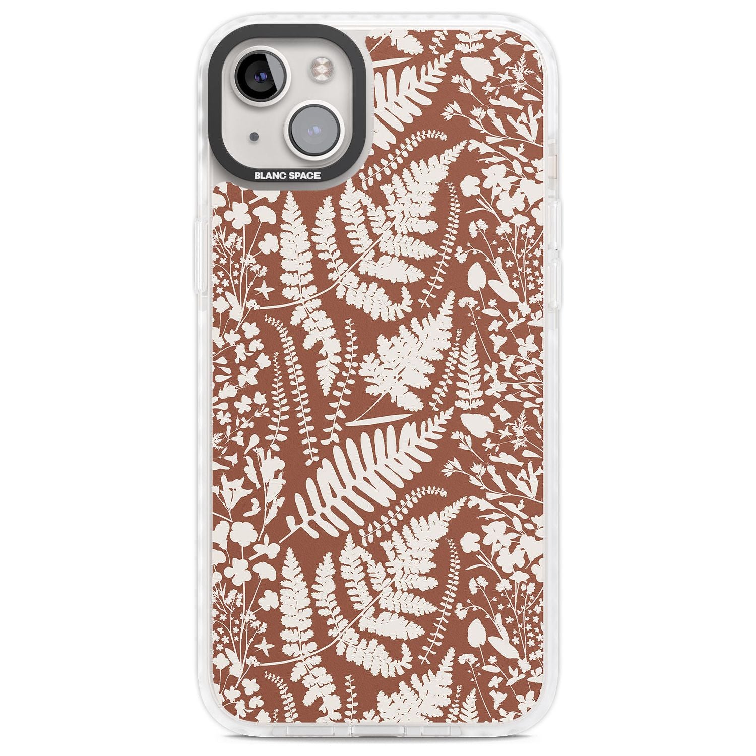 Wildflowers And Ferns On Terracotta