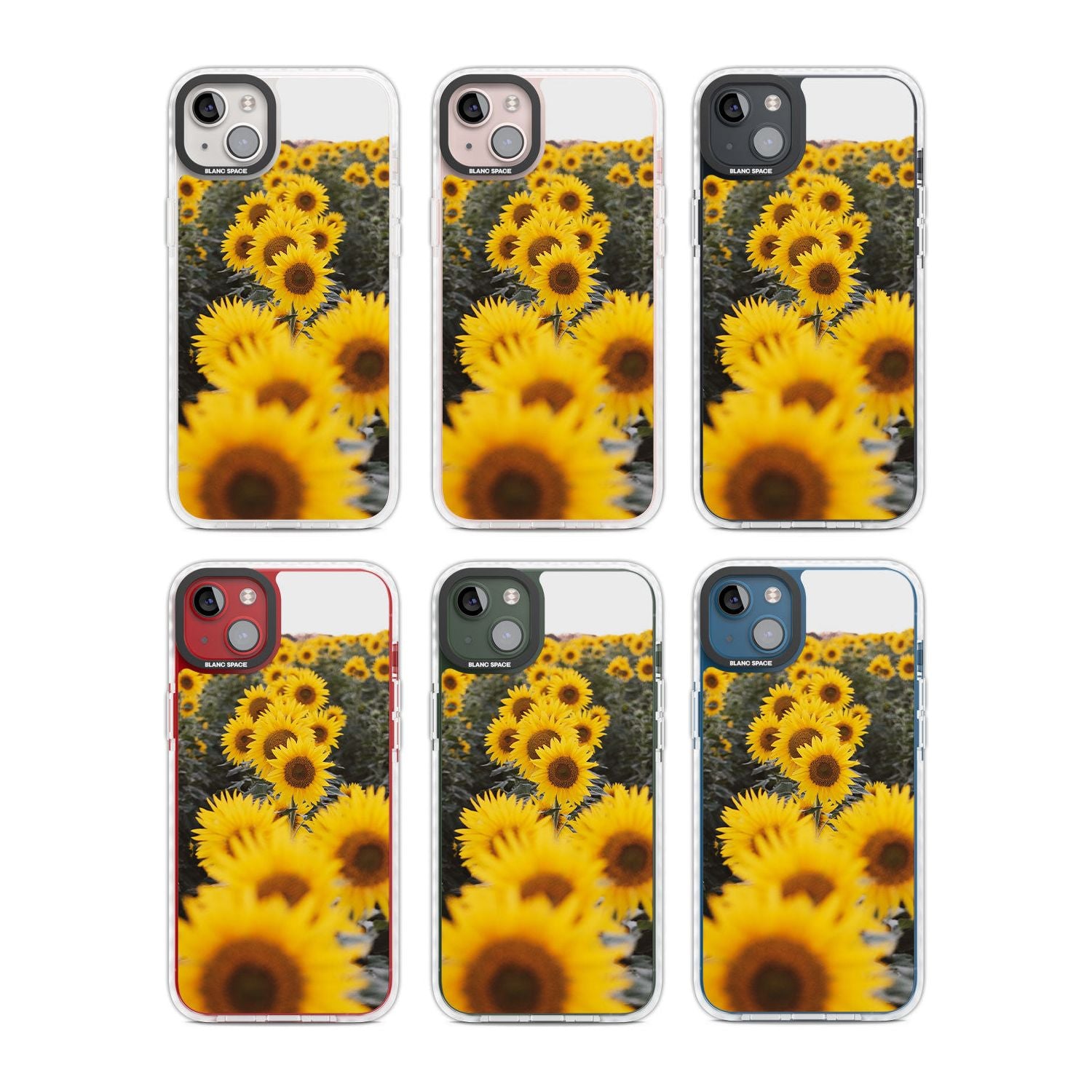 Sunflower Field