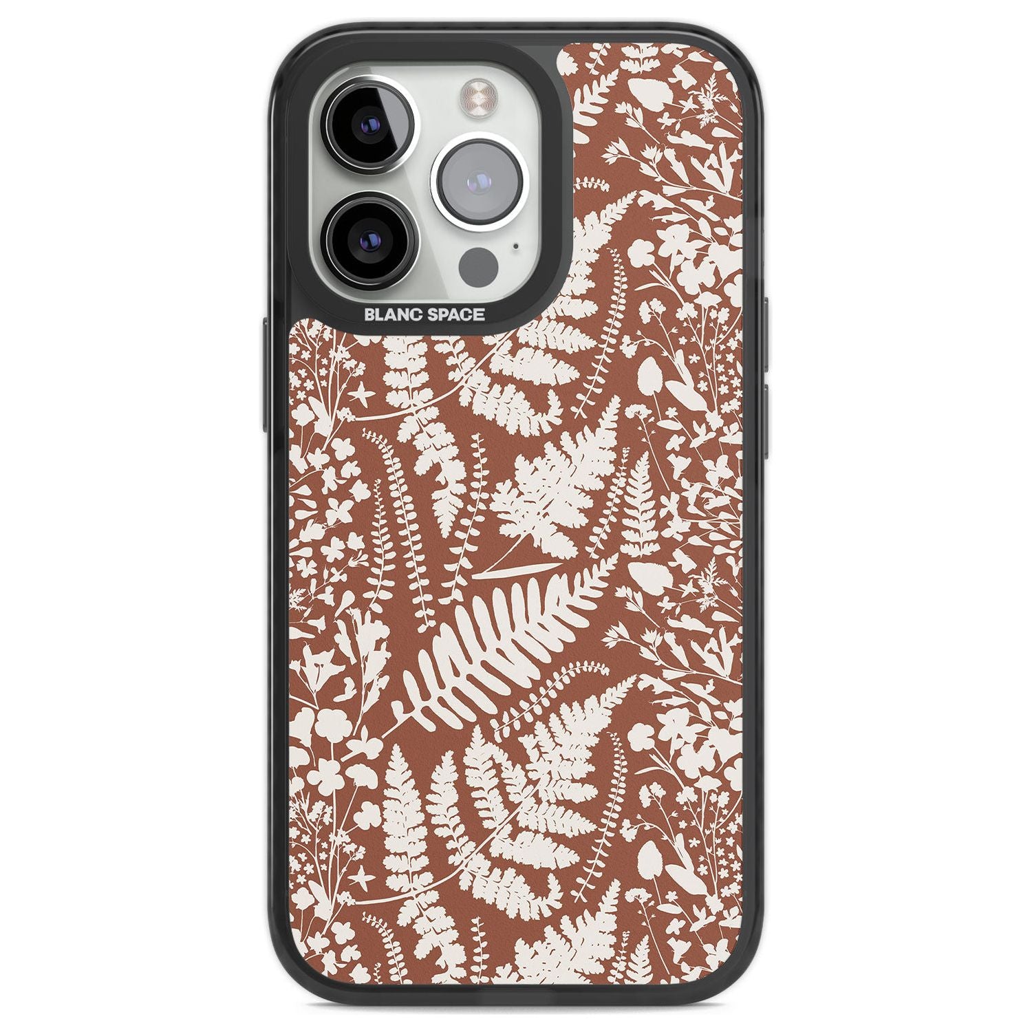 Wildflowers And Ferns On Terracotta