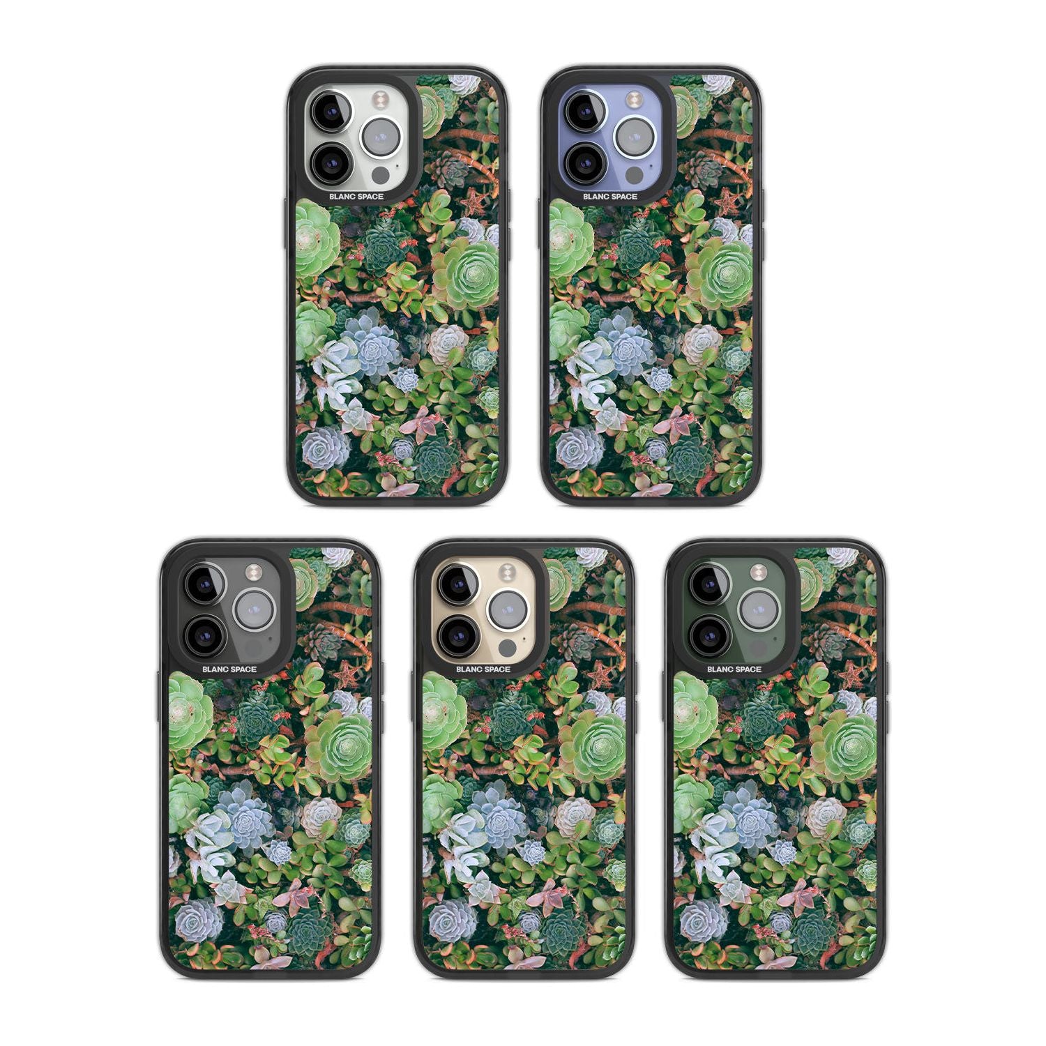 Colourful Succulents Phone Case iPhone 15 Pro Max / Black Impact Case,iPhone 15 Plus / Black Impact Case,iPhone 15 Pro / Black Impact Case,iPhone 15 / Black Impact Case,iPhone 15 Pro Max / Impact Case,iPhone 15 Plus / Impact Case,iPhone 15 Pro / Impact Case,iPhone 15 / Impact Case,iPhone 15 Pro Max / Magsafe Black Impact Case,iPhone 15 Plus / Magsafe Black Impact Case,iPhone 15 Pro / Magsafe Black Impact Case,iPhone 15 / Magsafe Black Impact Case,iPhone 14 Pro Max / Black Impact Case,iPhone 14 Plus / Black