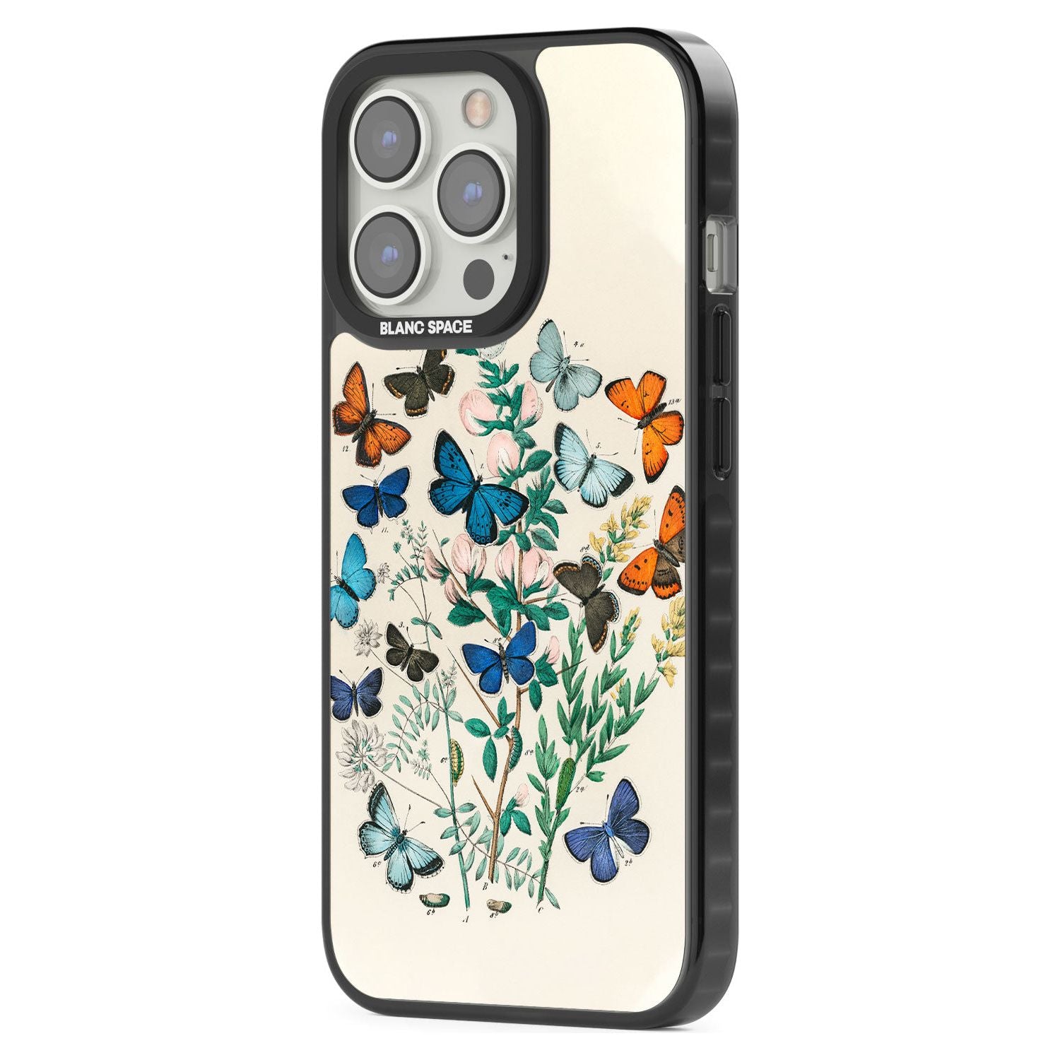 European Butterflies Phone Case iPhone 15 Pro Max / Black Impact Case,iPhone 15 Plus / Black Impact Case,iPhone 15 Pro / Black Impact Case,iPhone 15 / Black Impact Case,iPhone 15 Pro Max / Impact Case,iPhone 15 Plus / Impact Case,iPhone 15 Pro / Impact Case,iPhone 15 / Impact Case,iPhone 15 Pro Max / Magsafe Black Impact Case,iPhone 15 Plus / Magsafe Black Impact Case,iPhone 15 Pro / Magsafe Black Impact Case,iPhone 15 / Magsafe Black Impact Case,iPhone 14 Pro Max / Black Impact Case,iPhone 14 Plus / Black