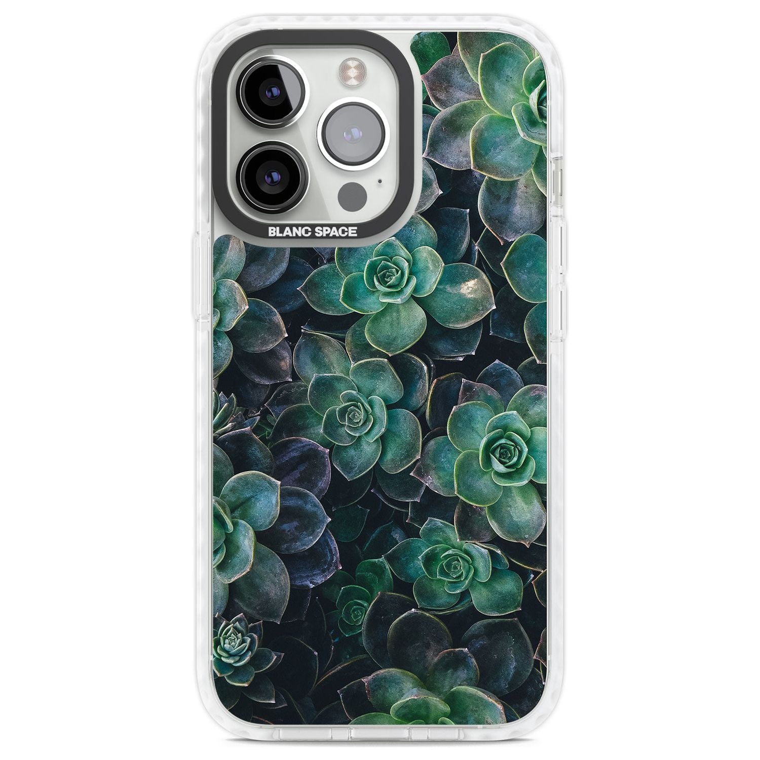 Succulent Bloom Botanical