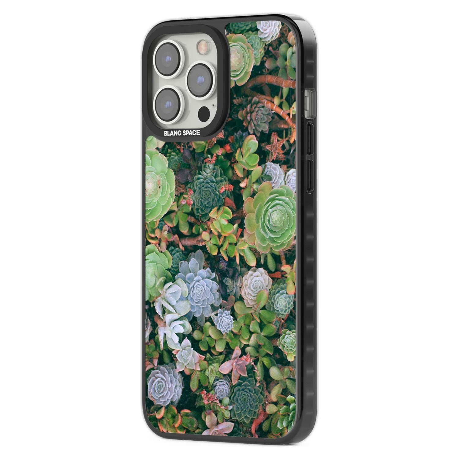 Colourful Succulents Phone Case iPhone 15 Pro Max / Black Impact Case,iPhone 15 Plus / Black Impact Case,iPhone 15 Pro / Black Impact Case,iPhone 15 / Black Impact Case,iPhone 15 Pro Max / Impact Case,iPhone 15 Plus / Impact Case,iPhone 15 Pro / Impact Case,iPhone 15 / Impact Case,iPhone 15 Pro Max / Magsafe Black Impact Case,iPhone 15 Plus / Magsafe Black Impact Case,iPhone 15 Pro / Magsafe Black Impact Case,iPhone 15 / Magsafe Black Impact Case,iPhone 14 Pro Max / Black Impact Case,iPhone 14 Plus / Black