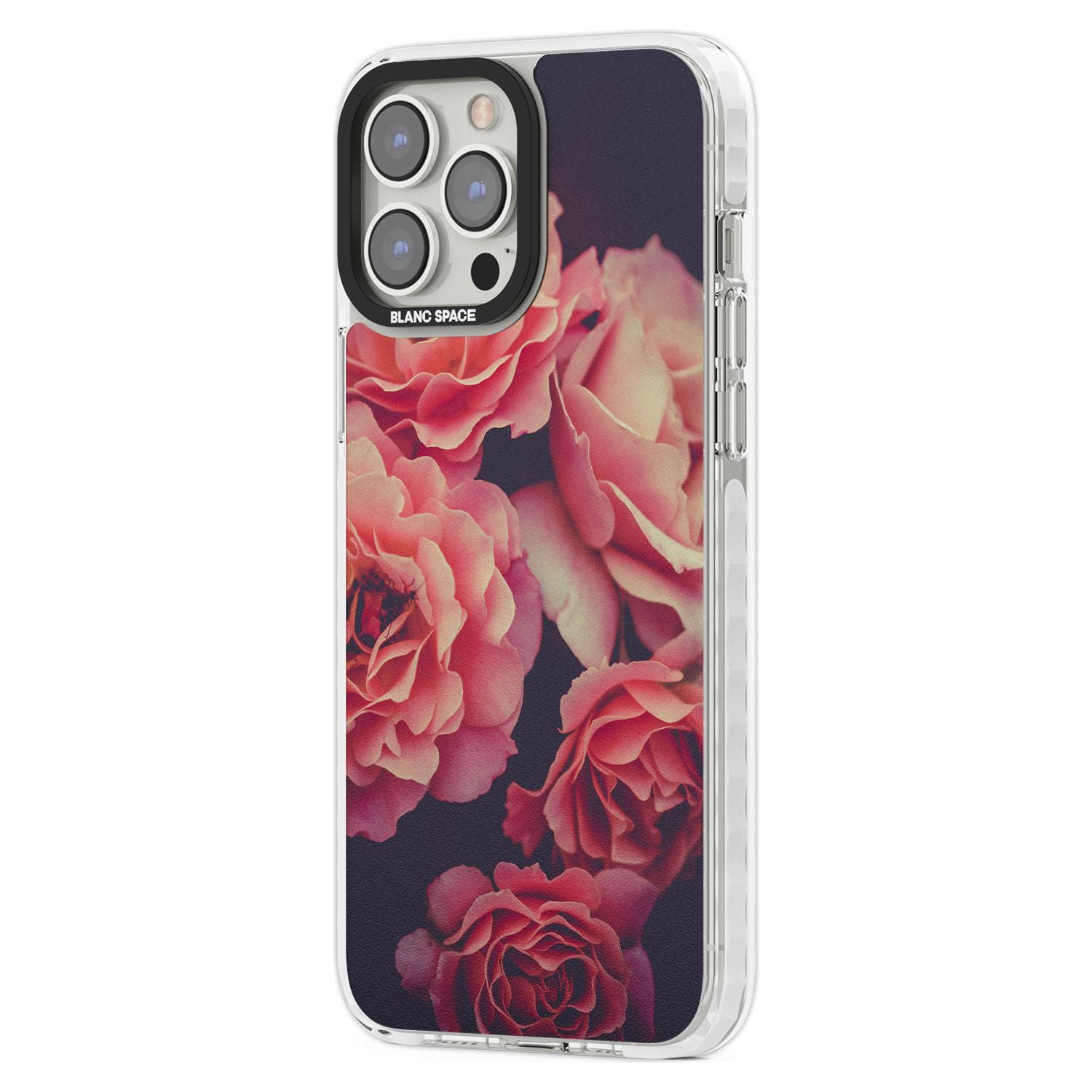 Midnight Rose Bloom