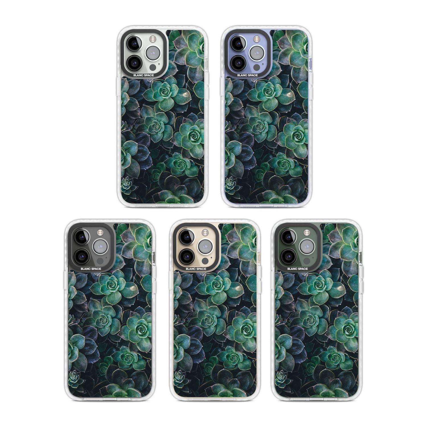 Succulent Bloom Botanical