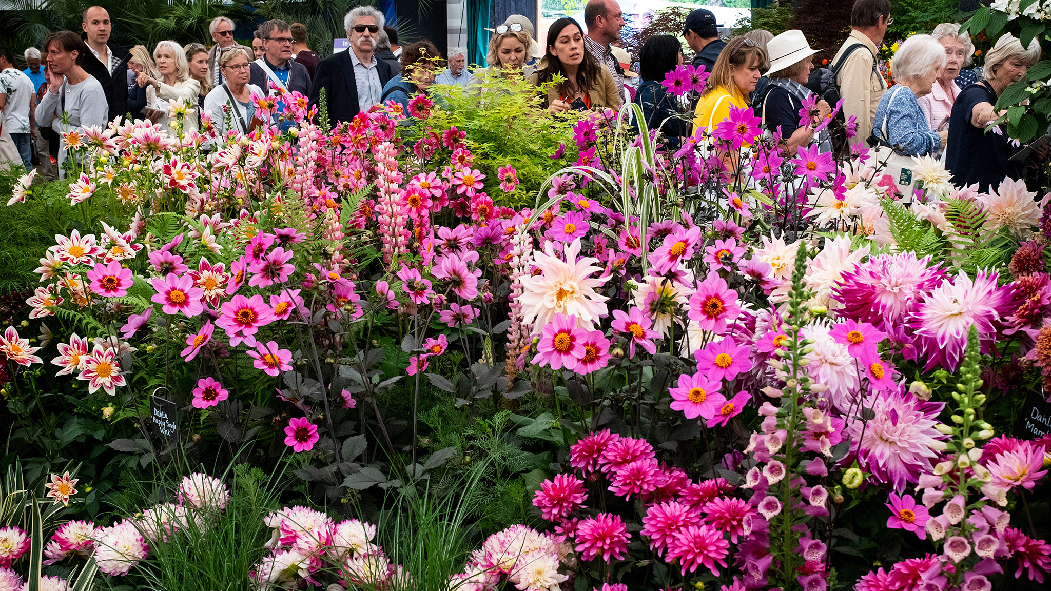 Chelsea Flower Show 2022 - Our Top 5 Floral iPhone Cases