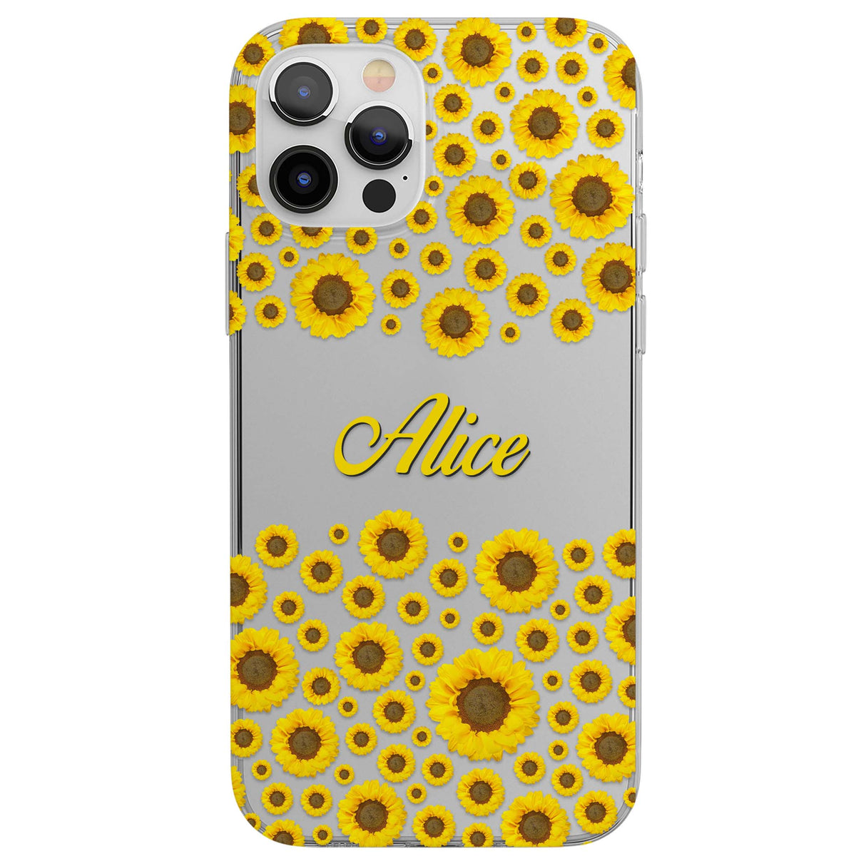 CLEAR CASE