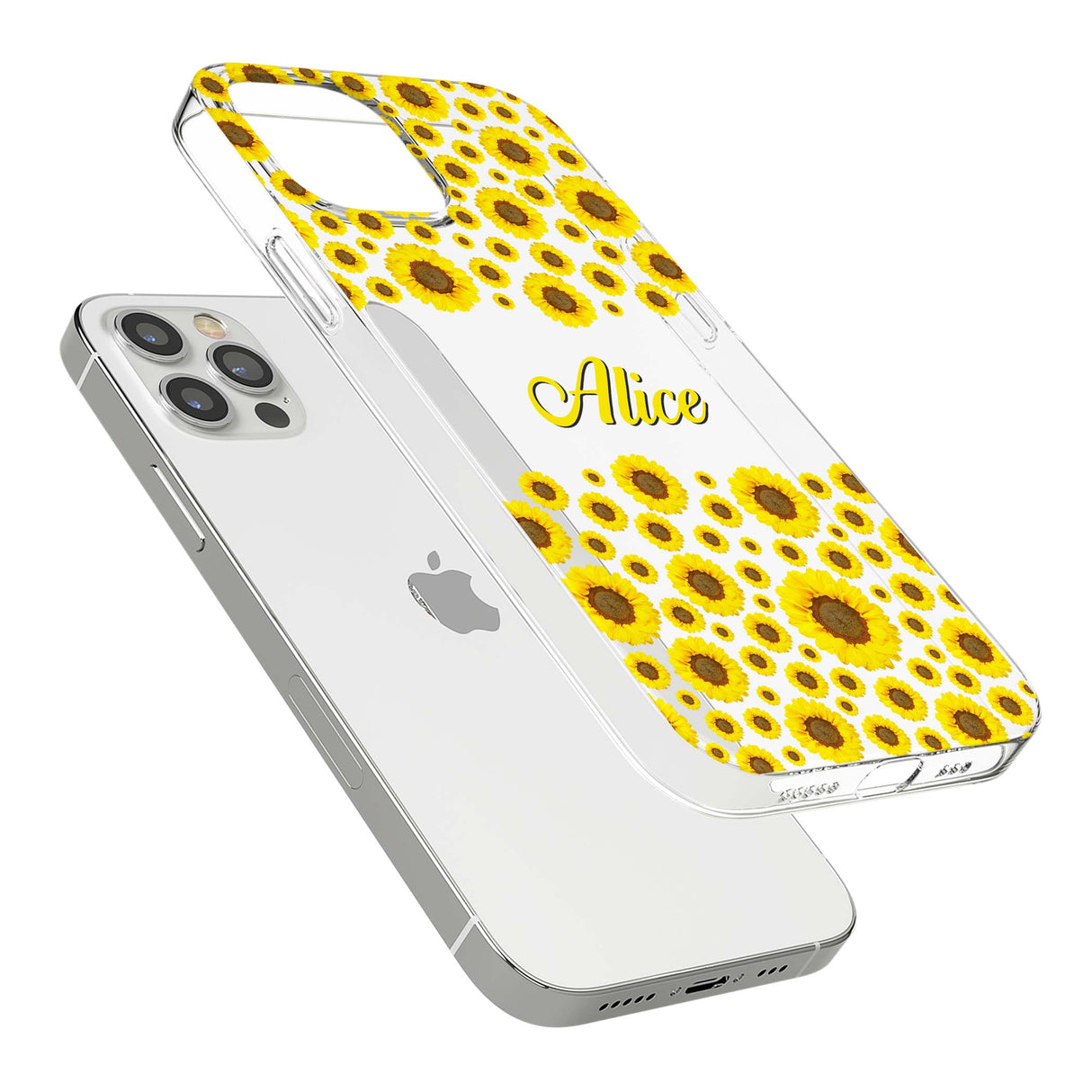 CLEAR CASE