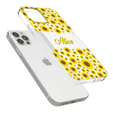 CLEAR CASE