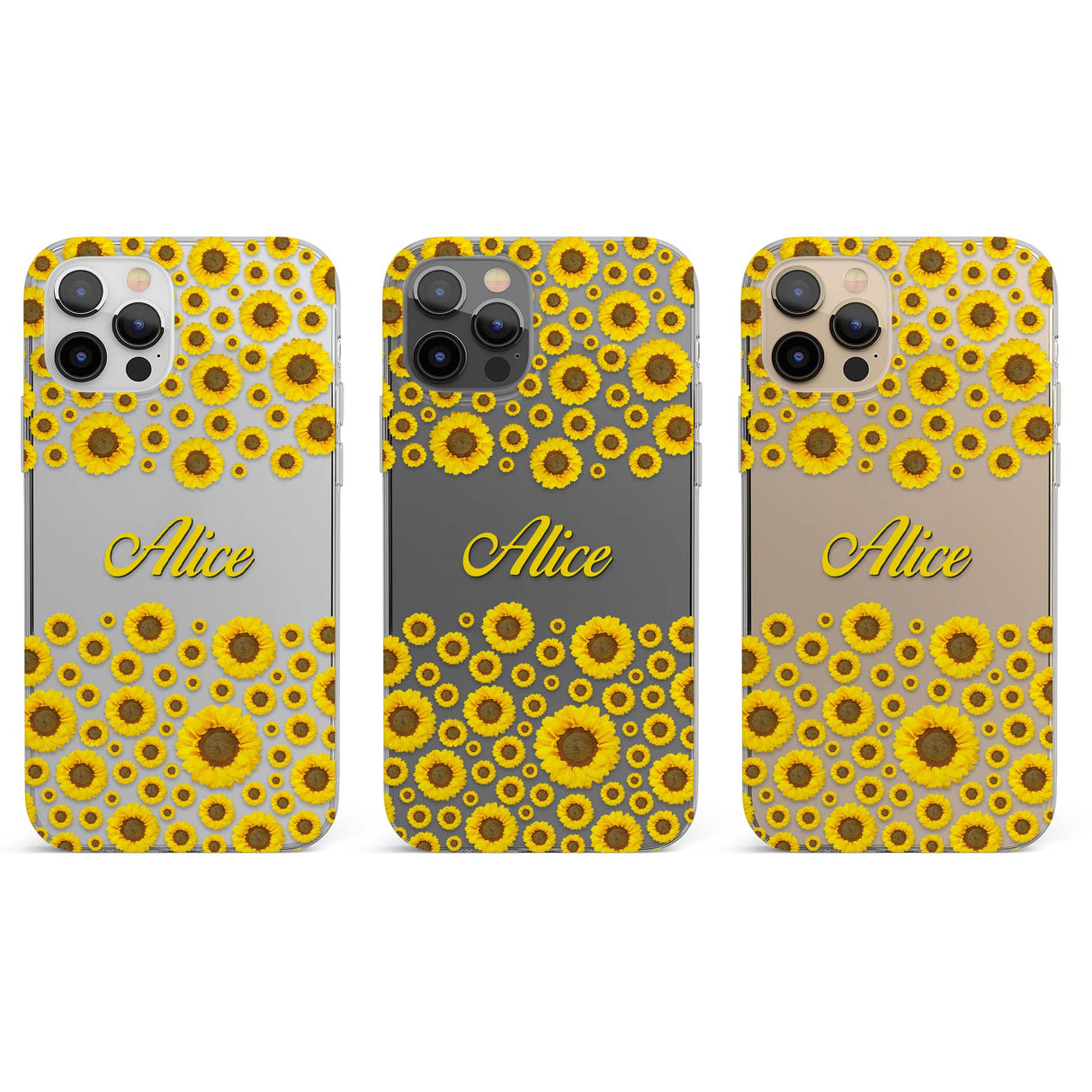 CLEAR CASE