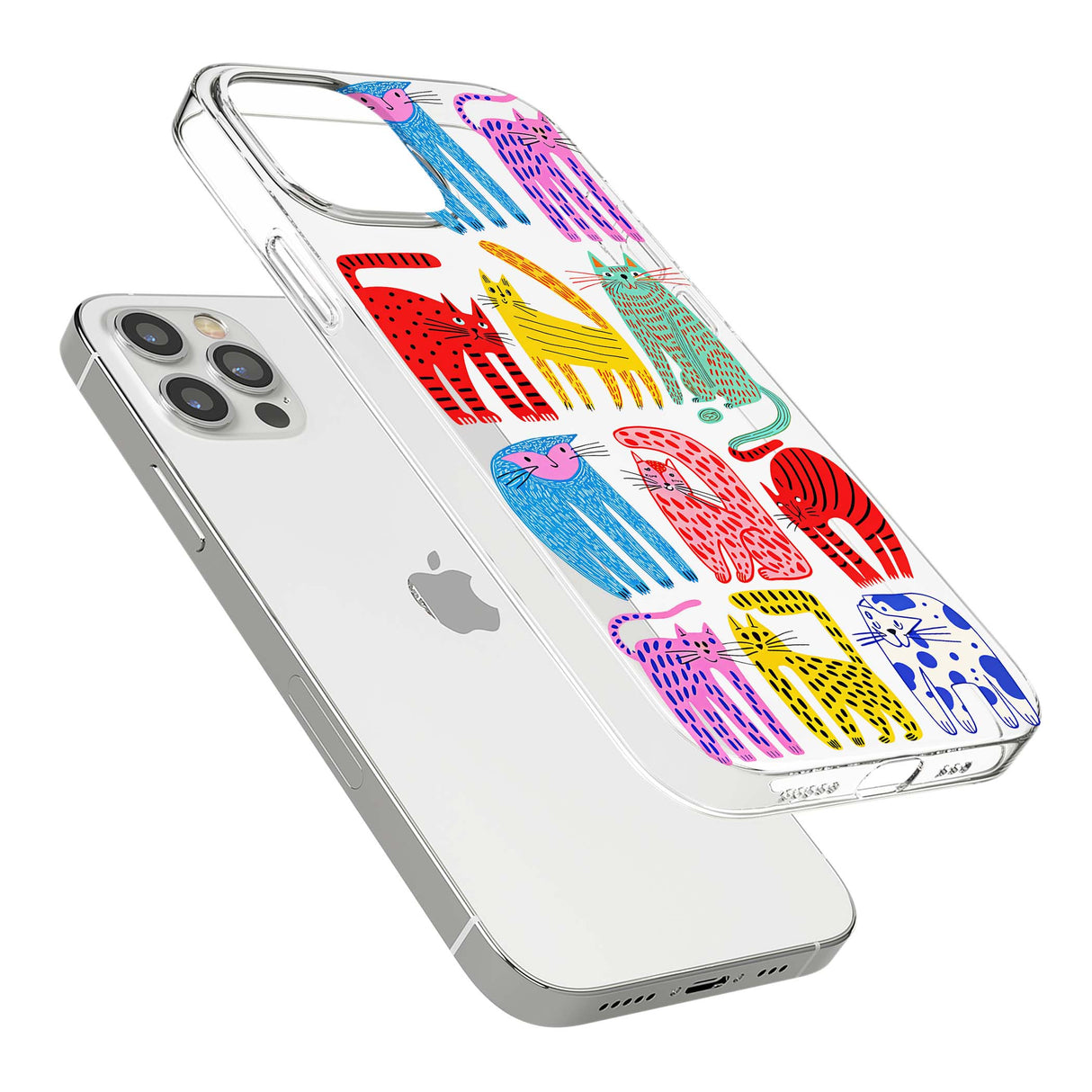 CLEAR CASE